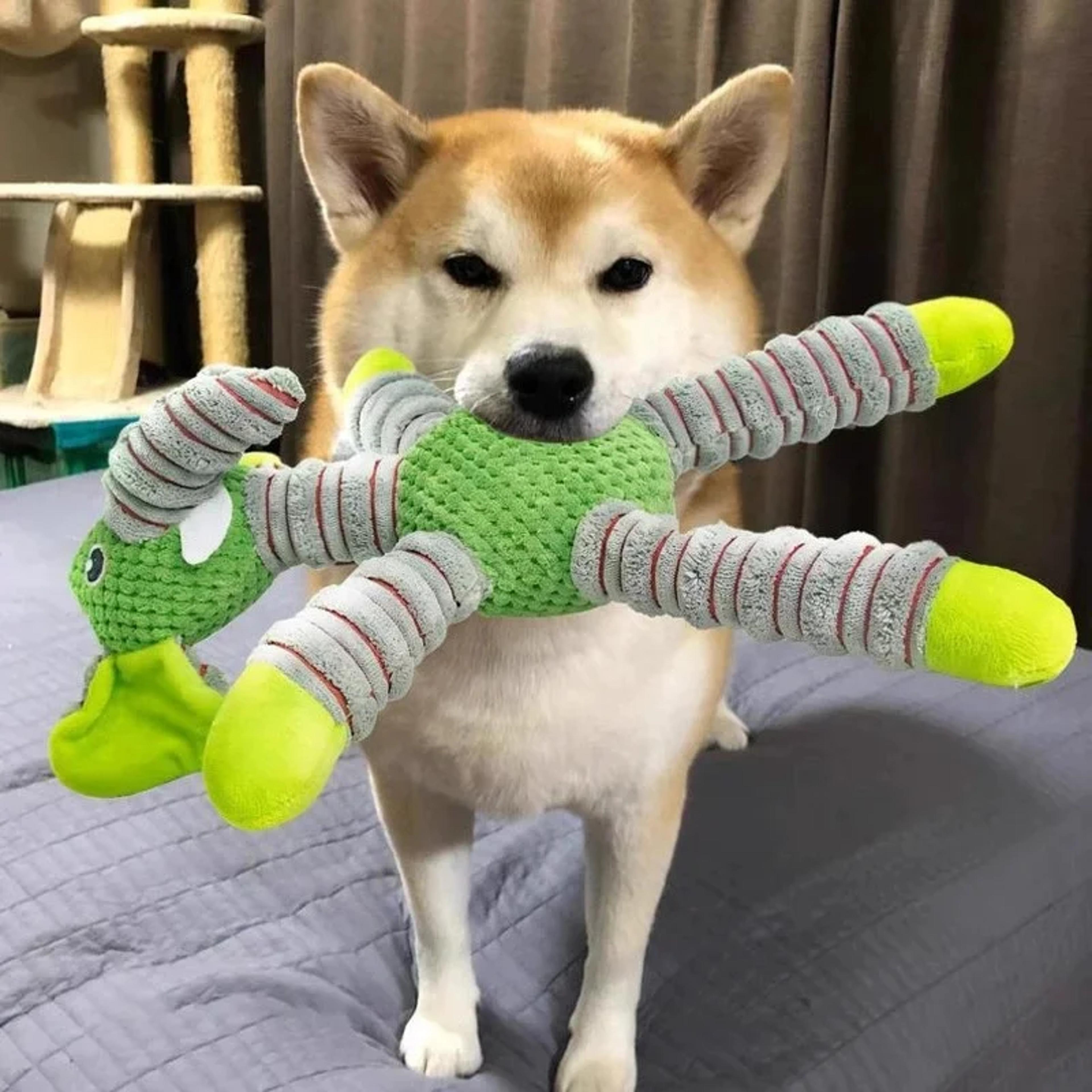 snuggle paws plush dog toy for puppies & small dogs interactive chew & comfort companion