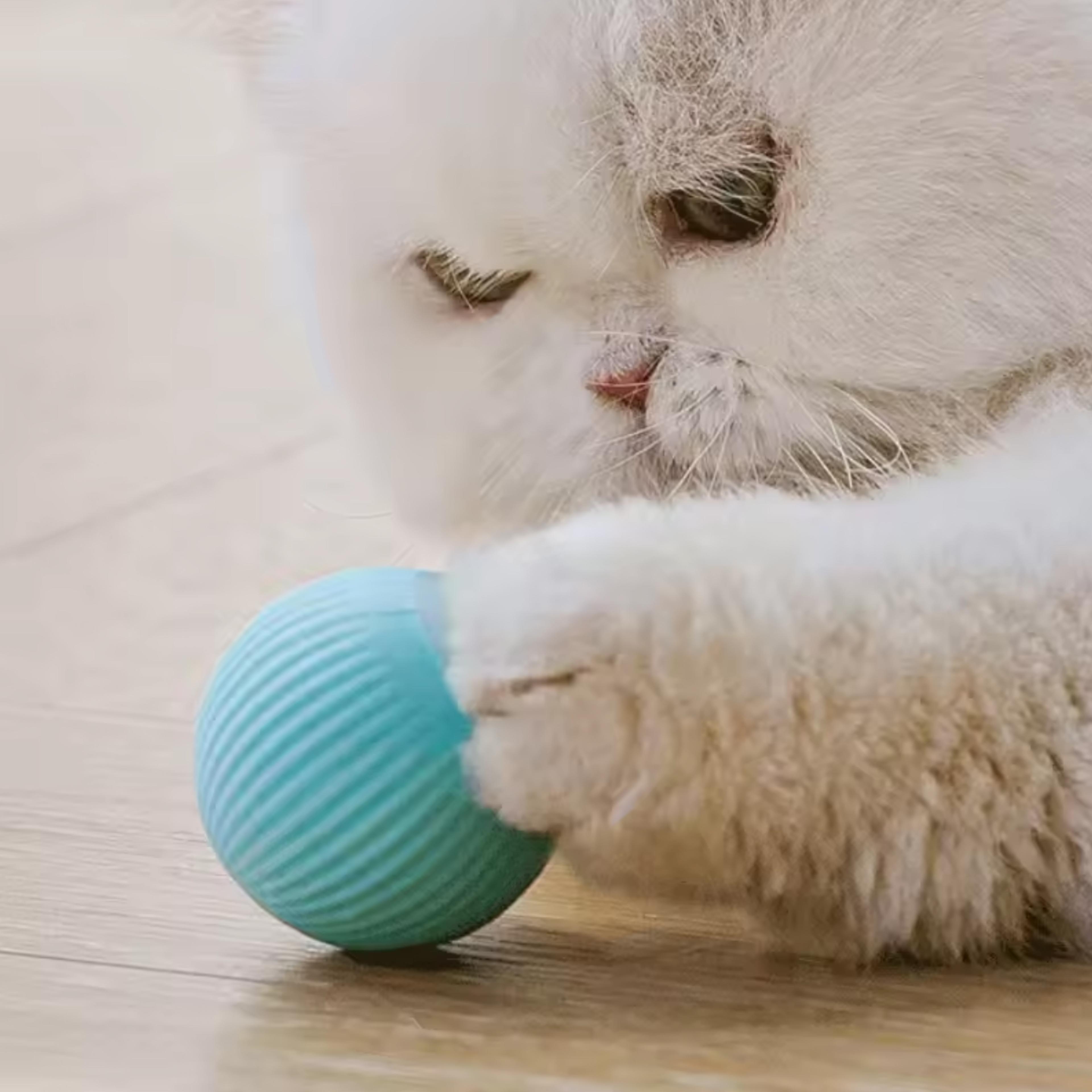 smart motion cat ball toy for active indoor cats