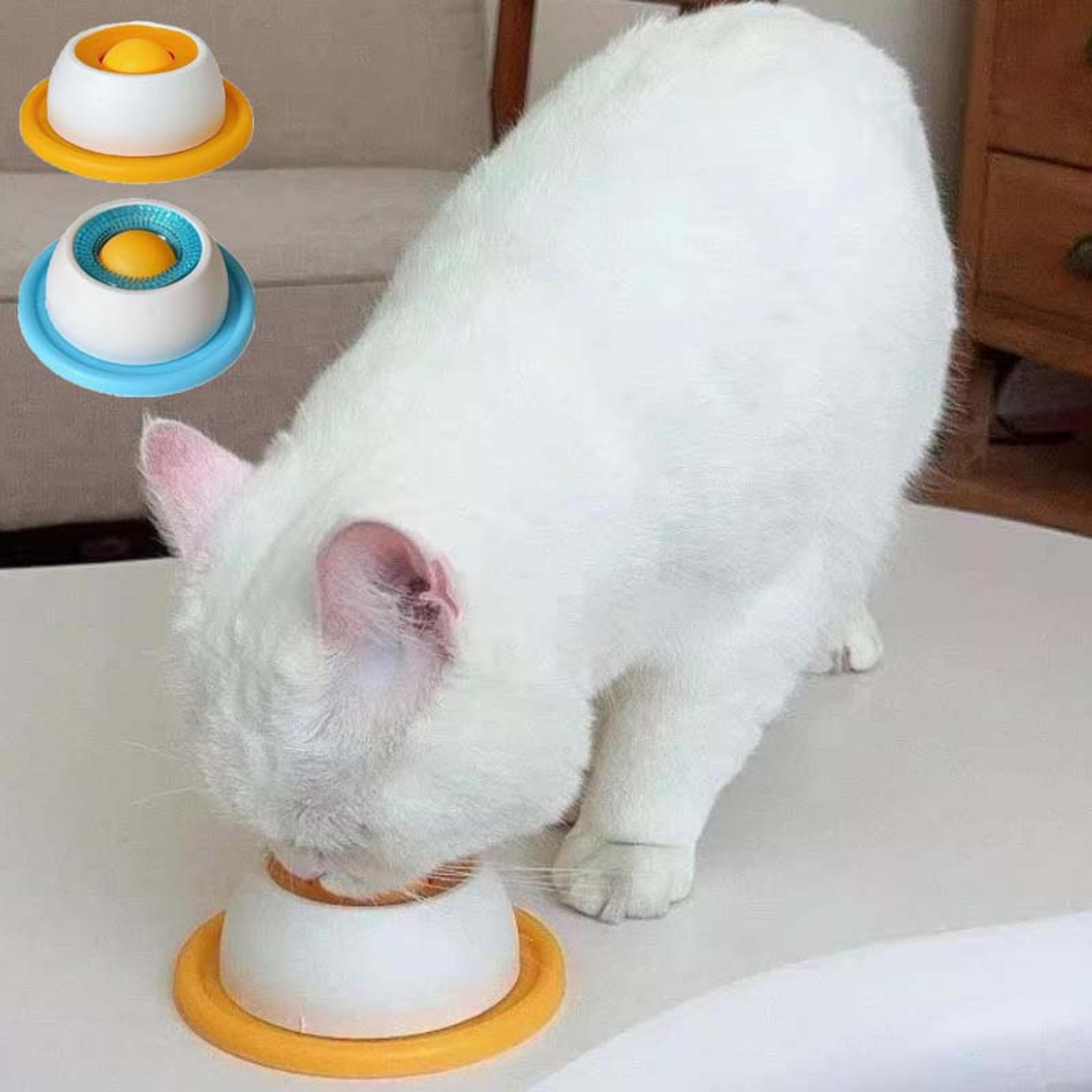 smart puzzle slow feeder cat bowl with water dispenser for cats & small dogs
