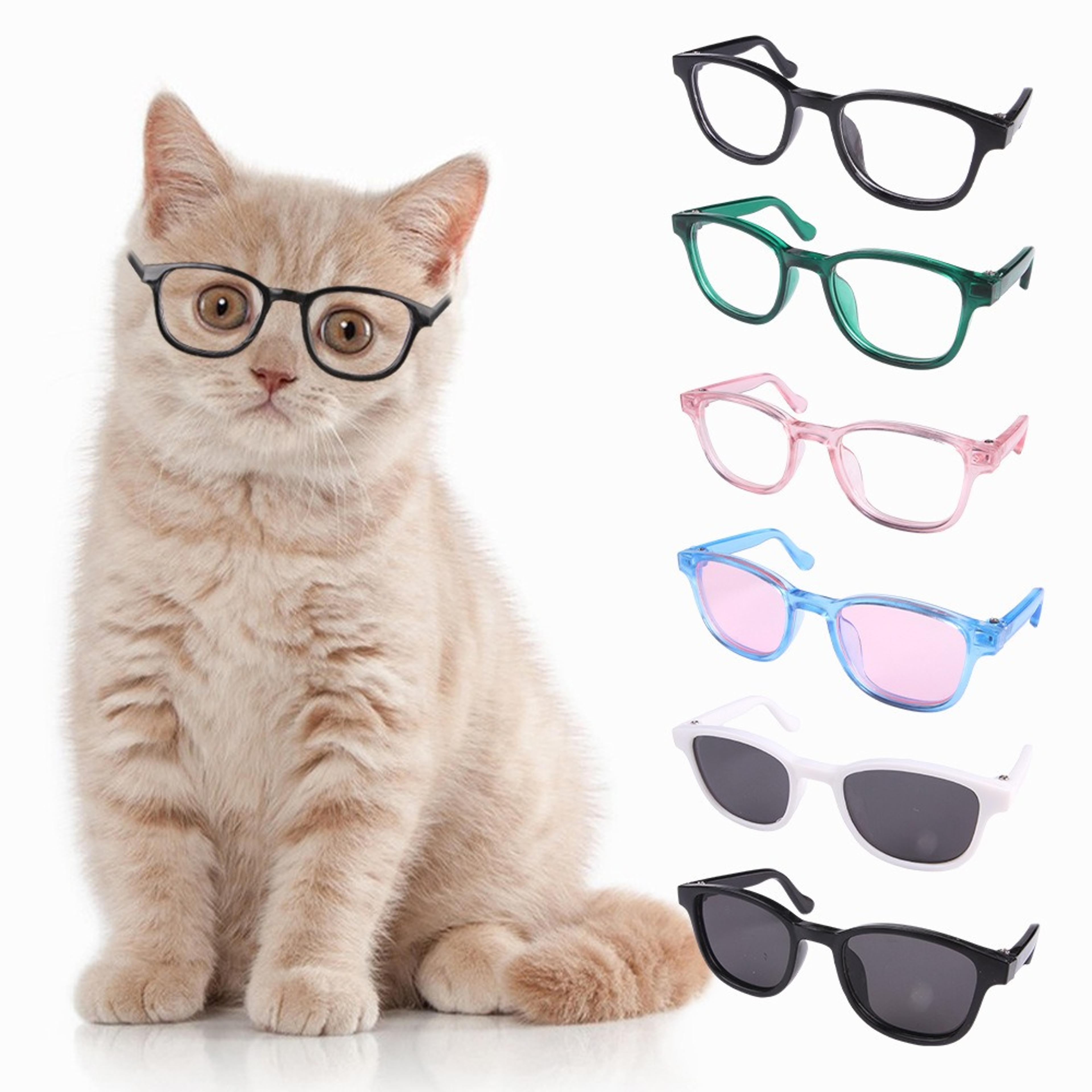 paw hield windproof pet sunglasses for dogs & cats