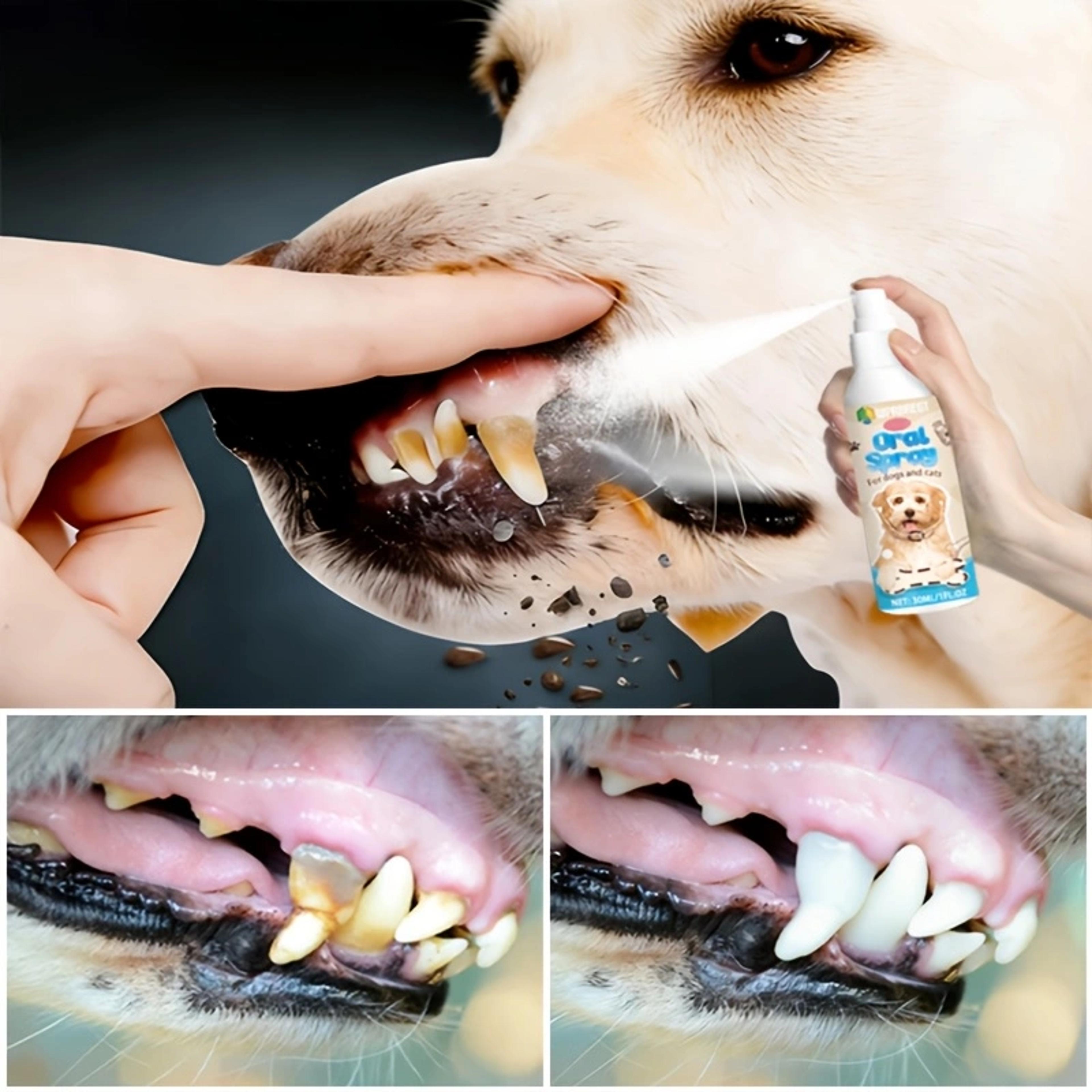 fresh breath pet oral care spray for dogs & cats pet dental spray for cleaner teeth & fresher breath