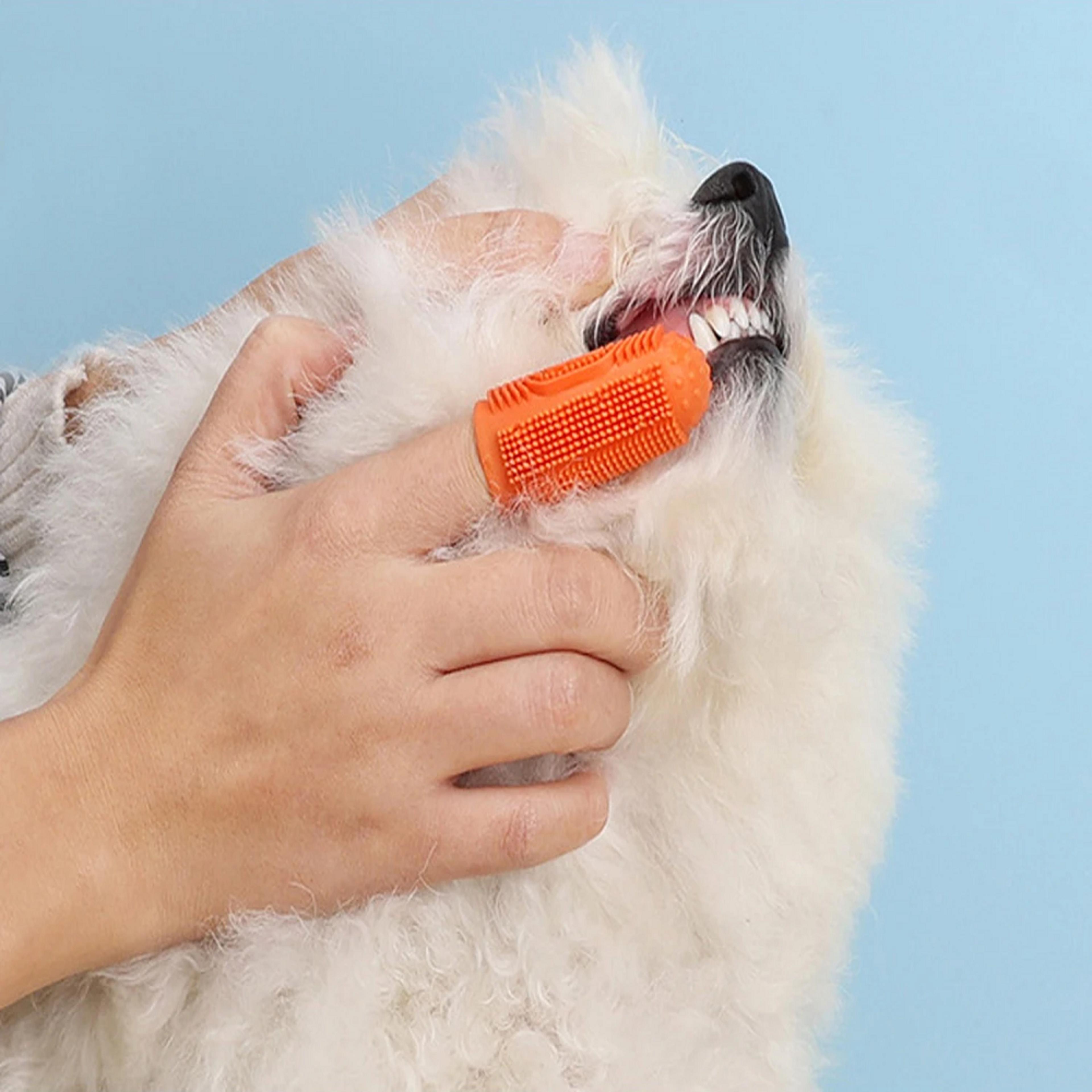 gentle clean silicone dog toothbrush finger brush set for easy pet dental care