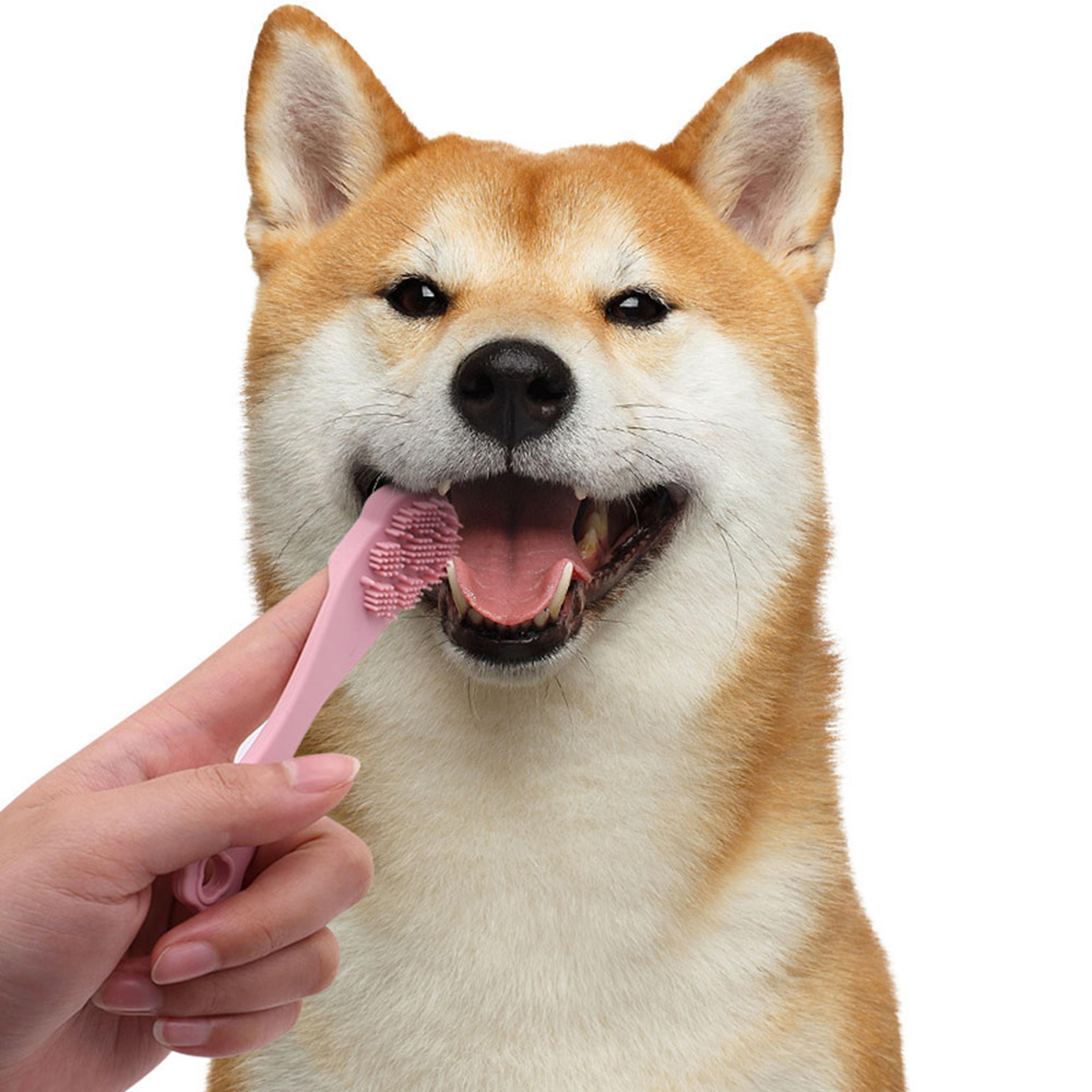 gentle grip silicone dog finger toothbrush for easy pet dental care