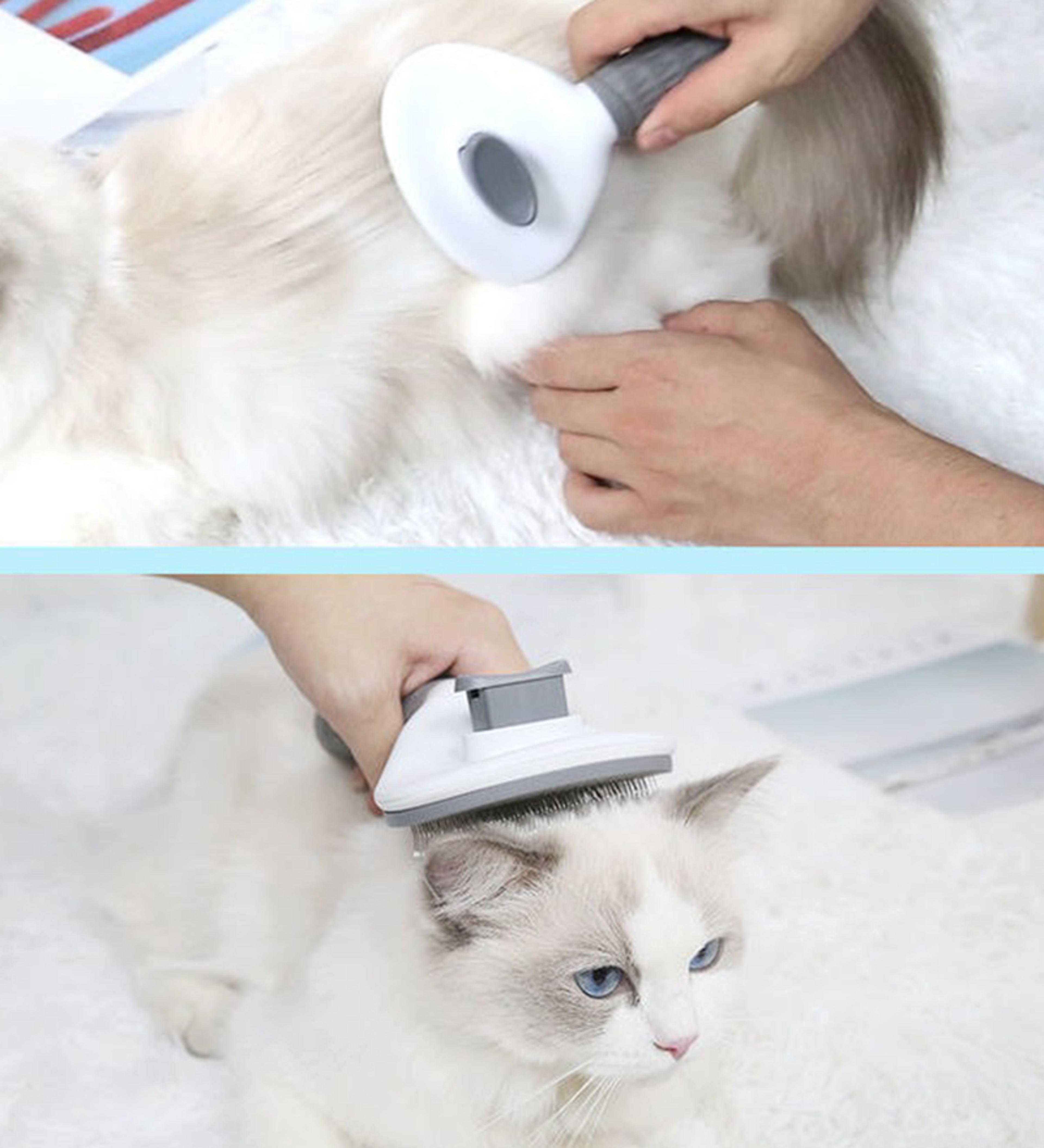 pet glow self cleaning deshedding brush for dogs & cats