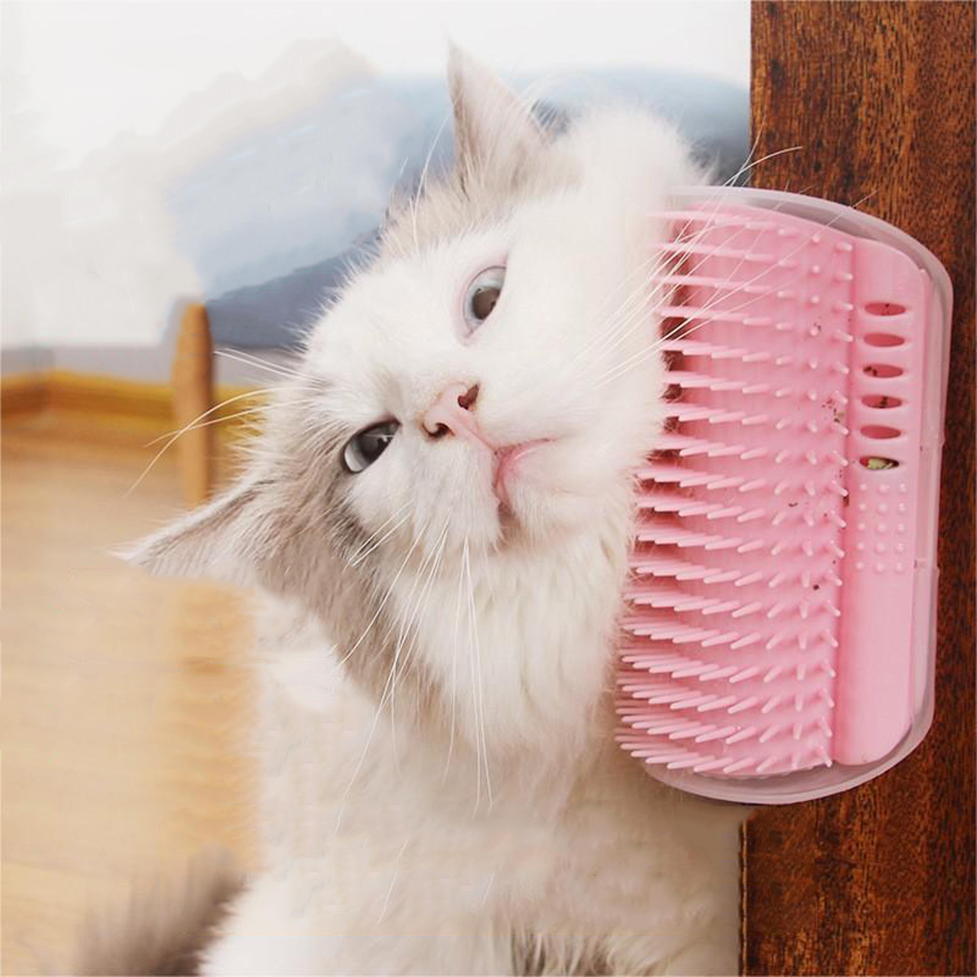 self grooming cat scratcher corner brush with catnip hair remover & massage comb