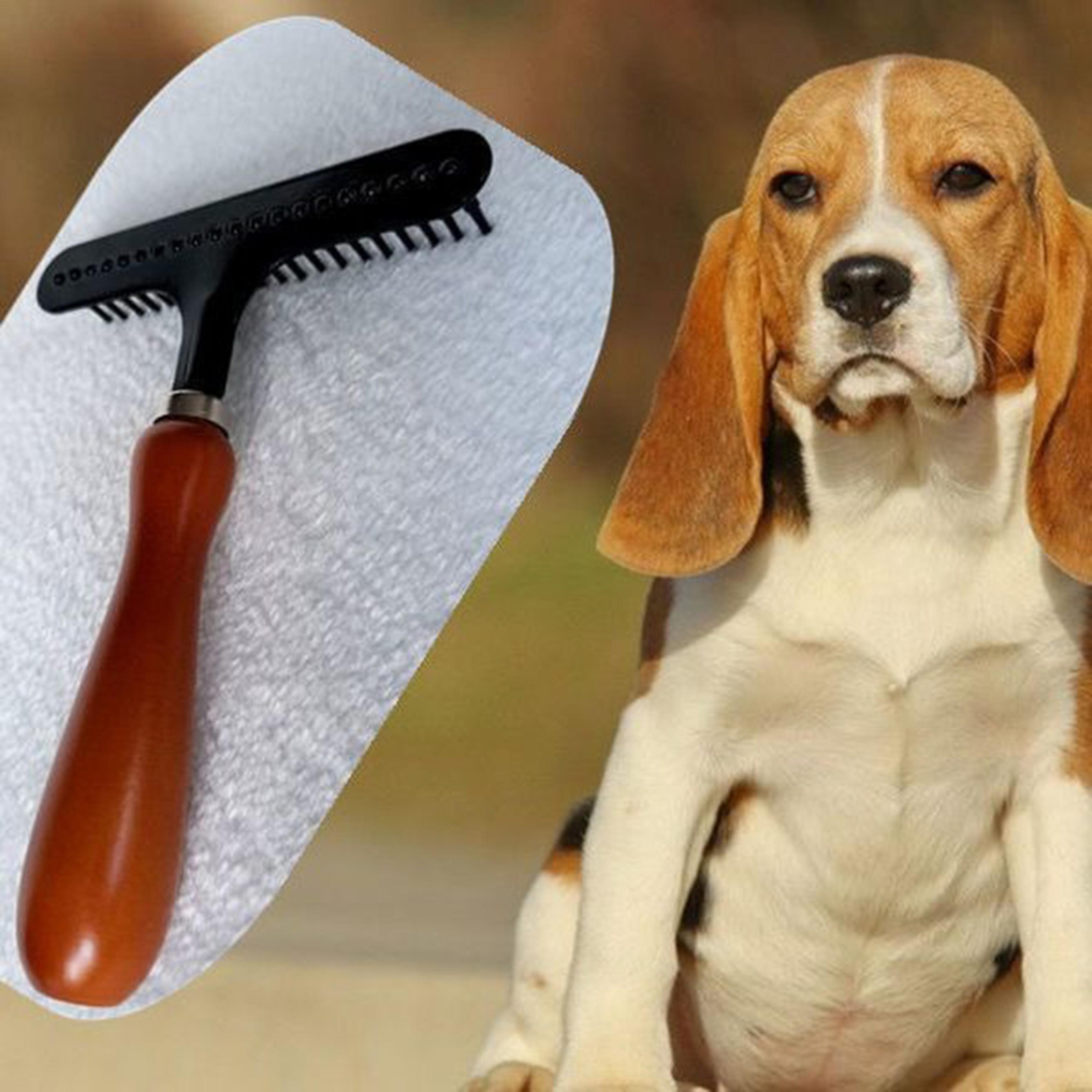 premium dog deshedding brush & undercoat rake for dogs and cats professional pet grooming tool