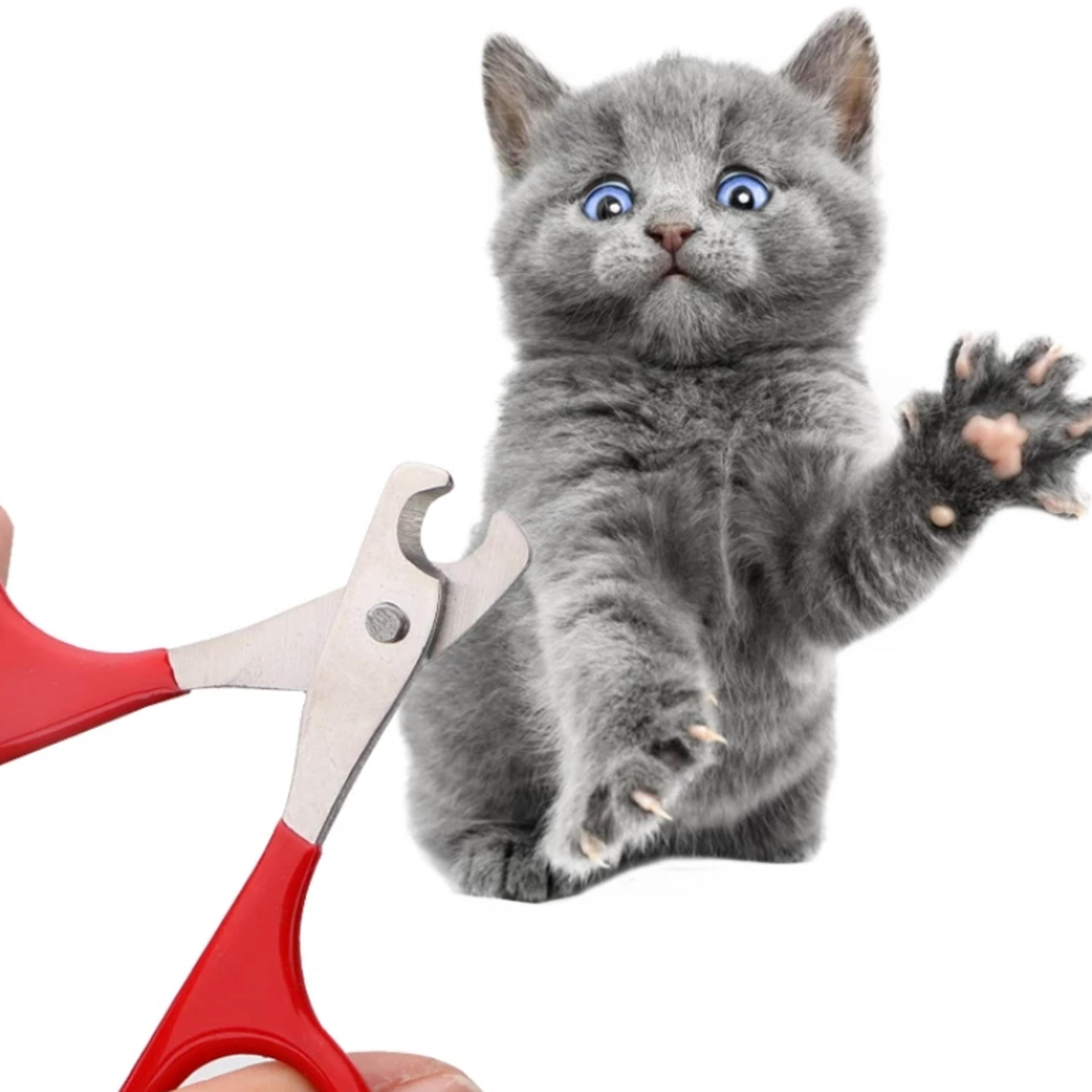 professional cat nail clippers pet nail trimmer for cats, kittens & small dogs