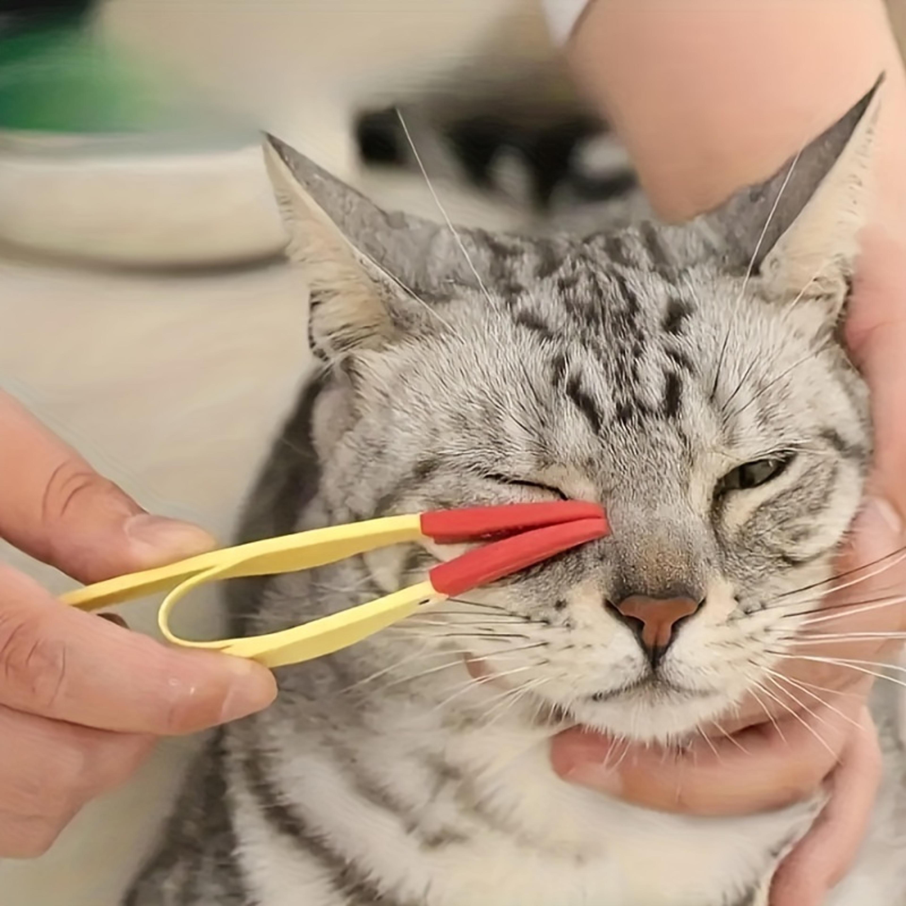 gentle pet tear stain remover & dog eye cleaning comb for cats and dogs