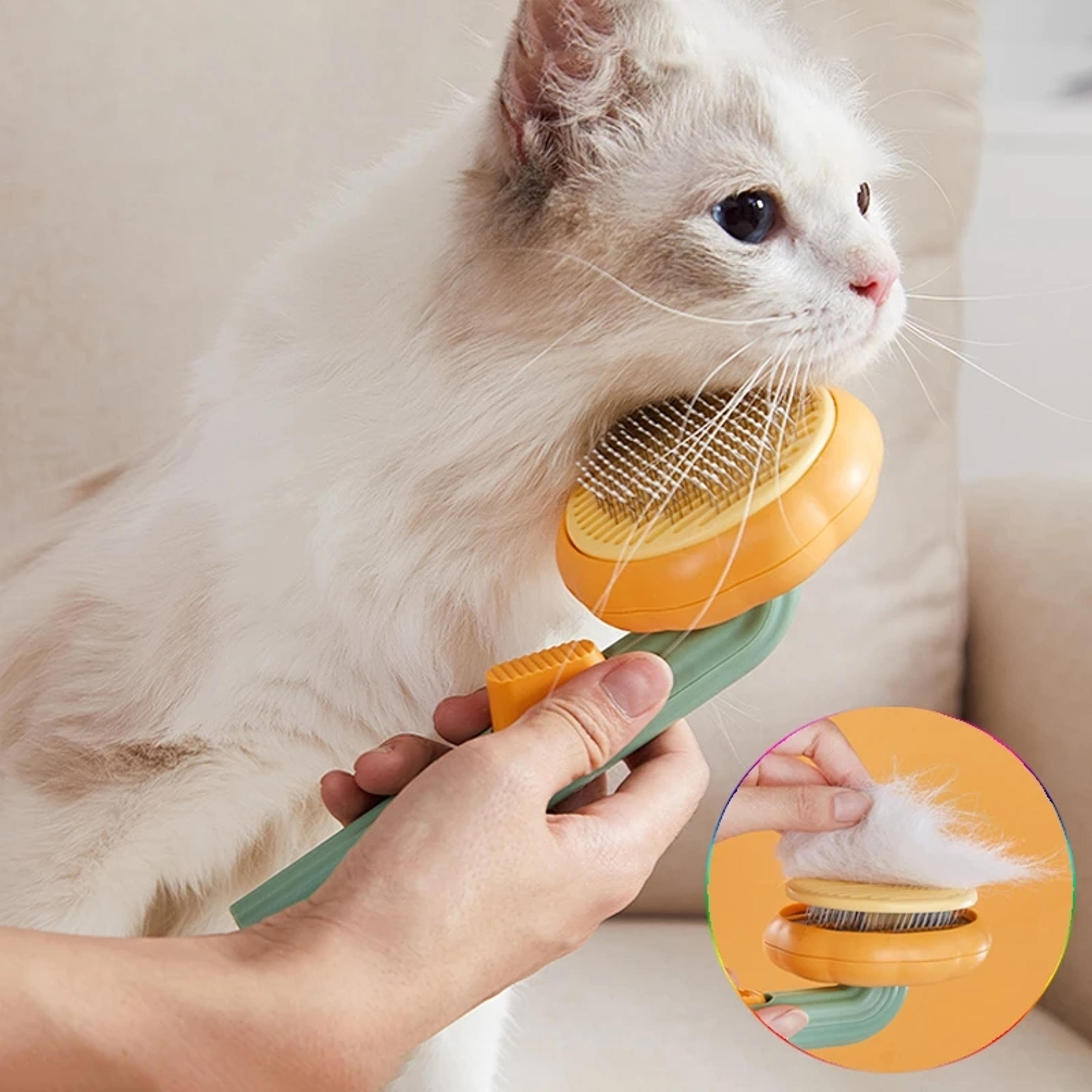 pumpkin self cleaning cat brush for dogs & cats gentle pet grooming brush for shedding & detangling
