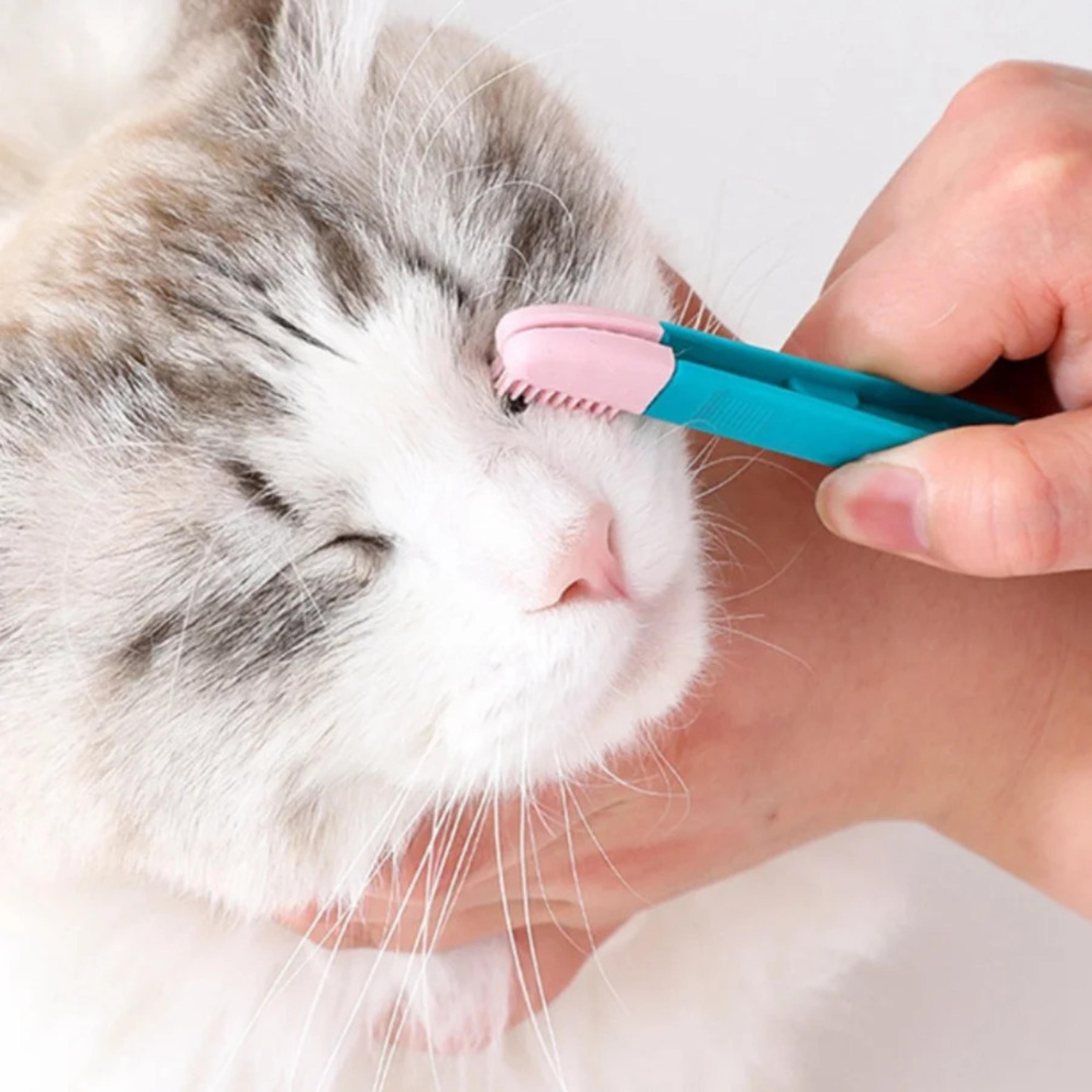 gentle pet eye cleaner brush & dog tear stain remover comb for cats and dogs