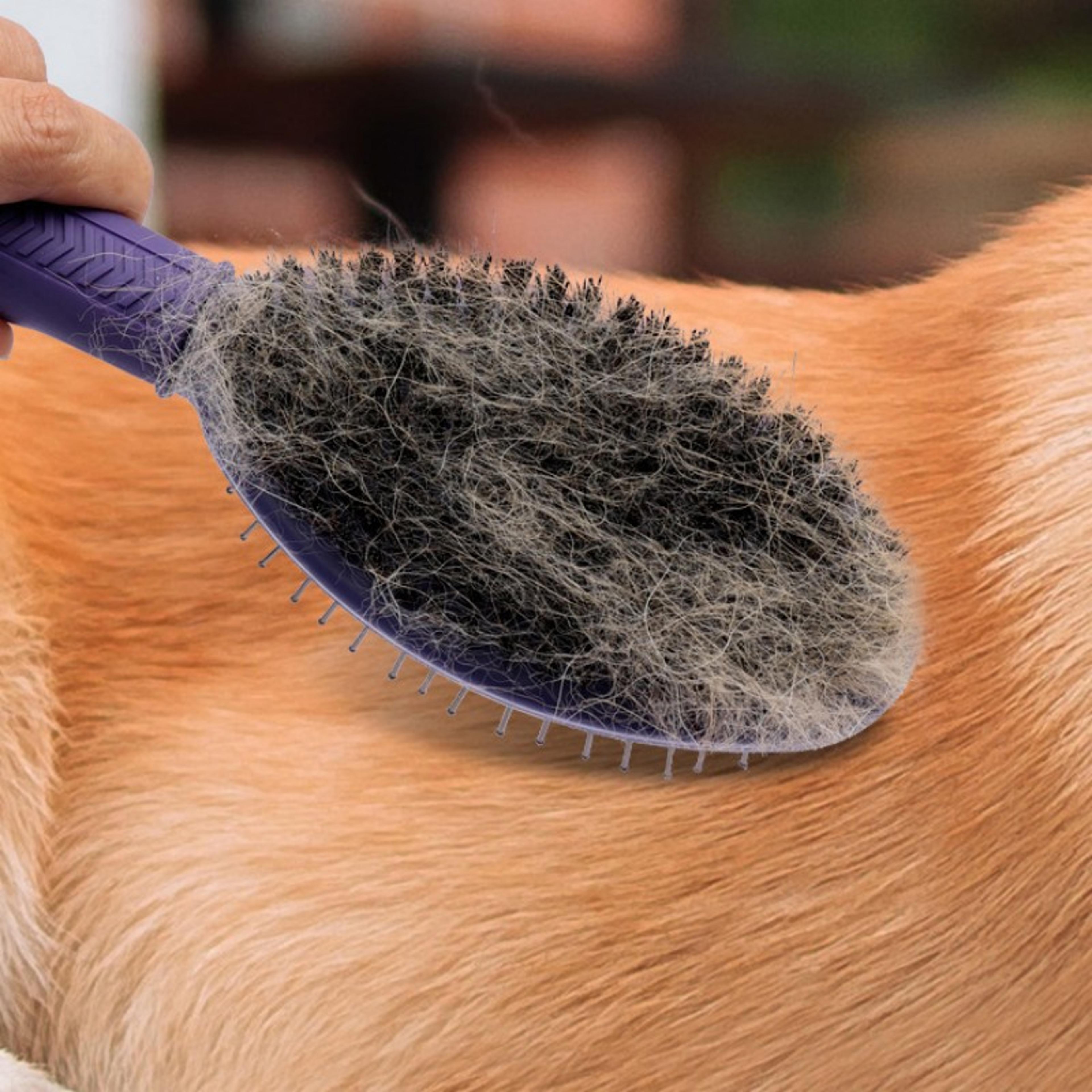 double sided dog grooming brush & pet hair remover comb for shedding, detangling & massage