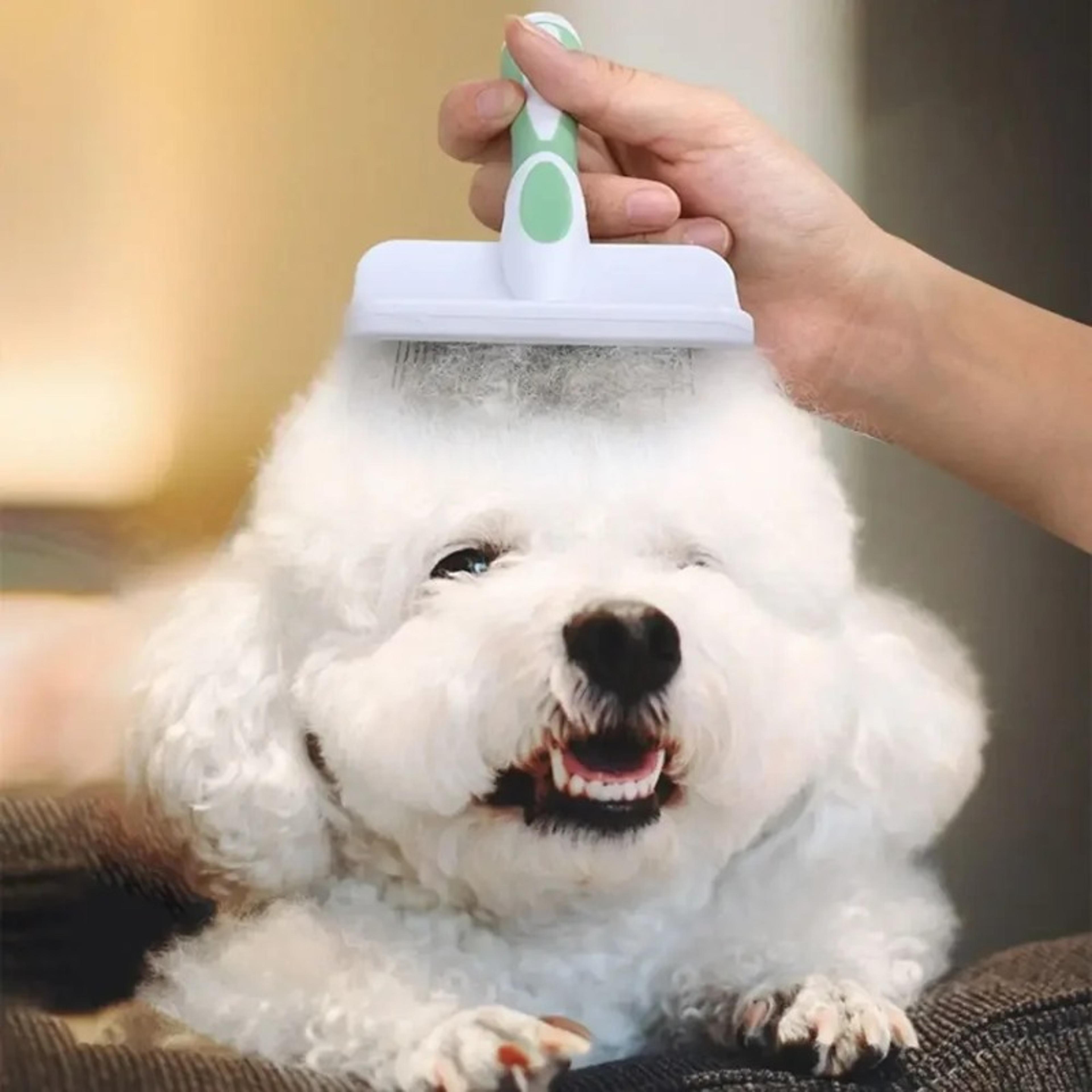 gentle pet grooming brush for dogs & cats self-cleaning slicker brush hair remover