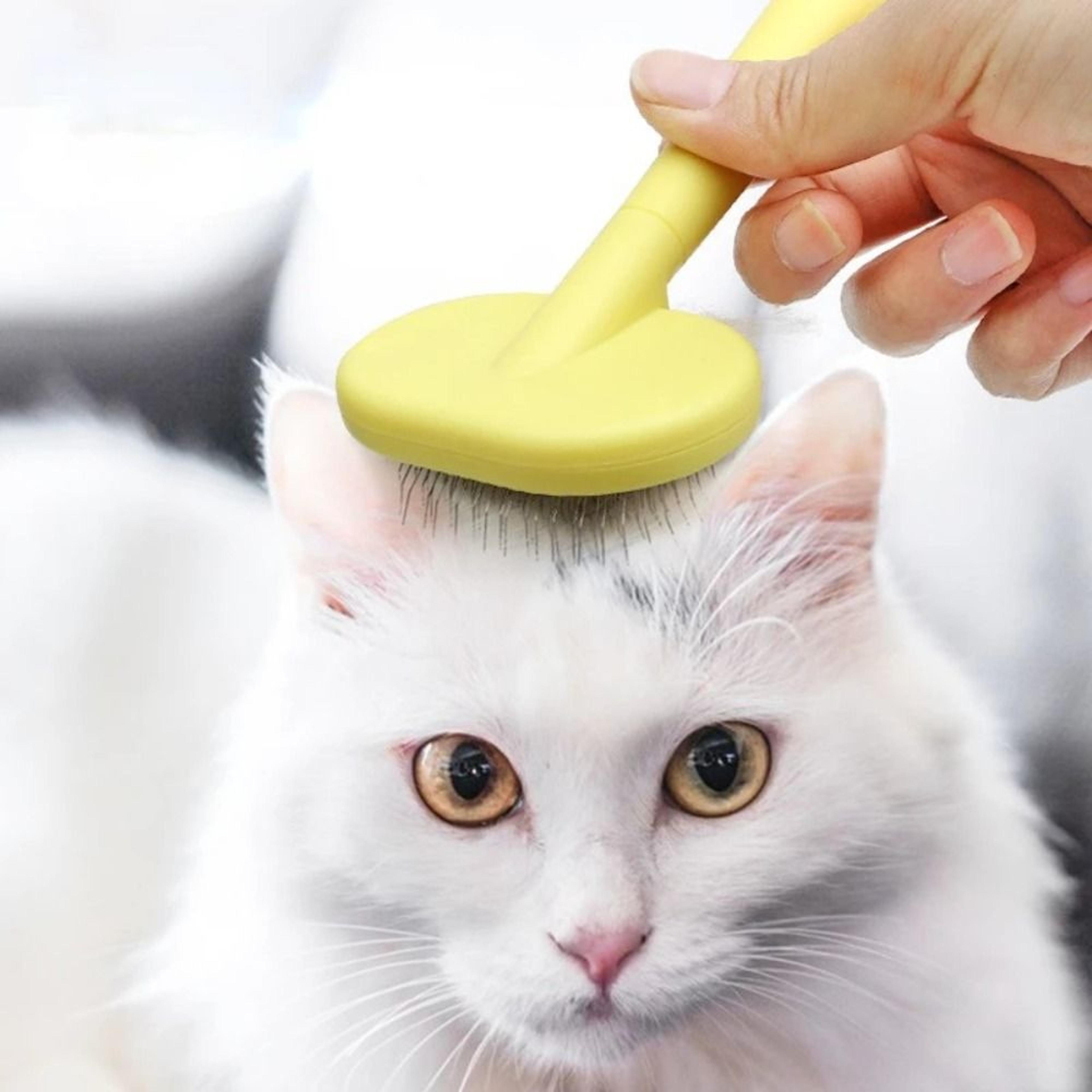 gentle cat grooming brush & pet deshedding comb for cats and dogs