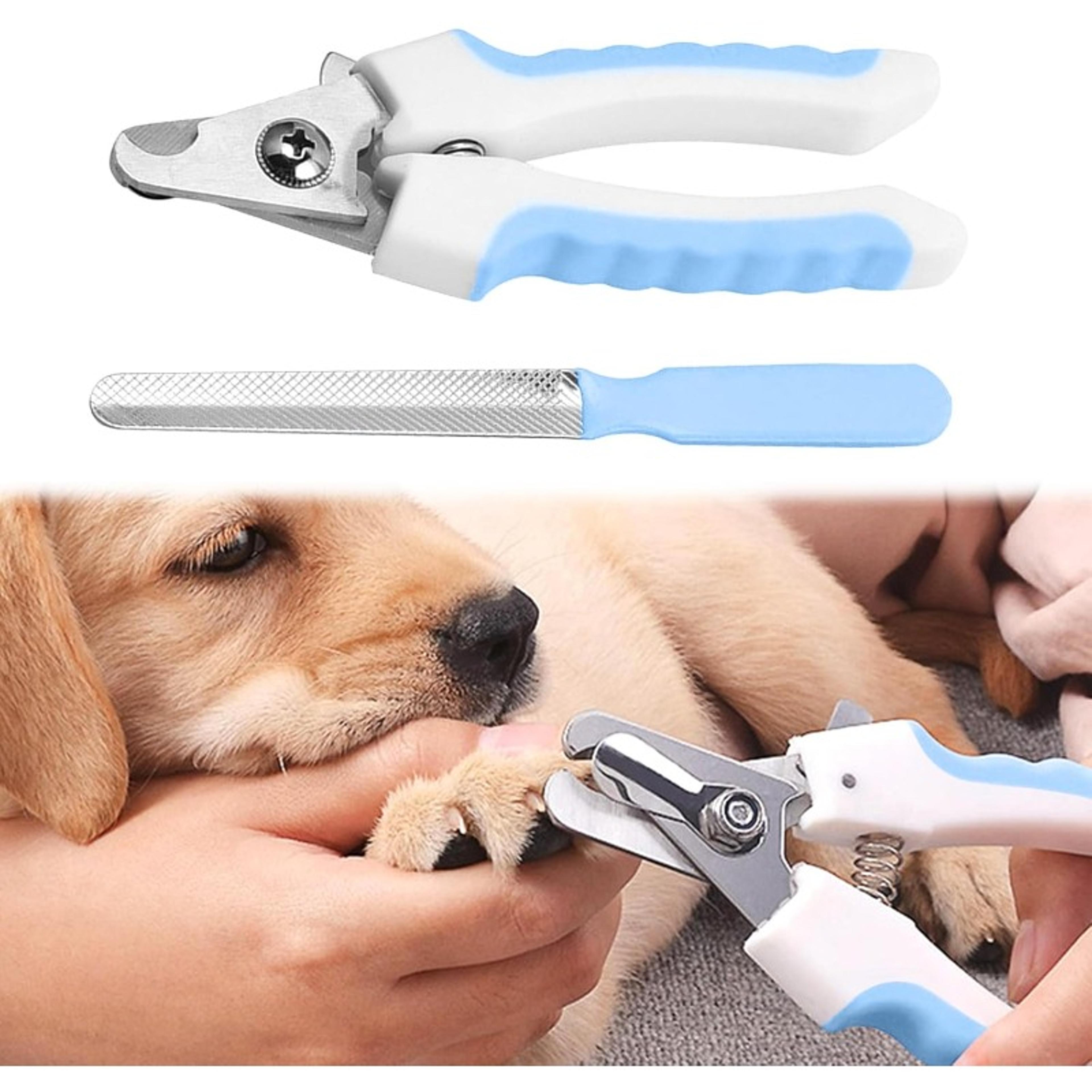 professional dog nail clippers with safety guard & nail file for dogs and cats