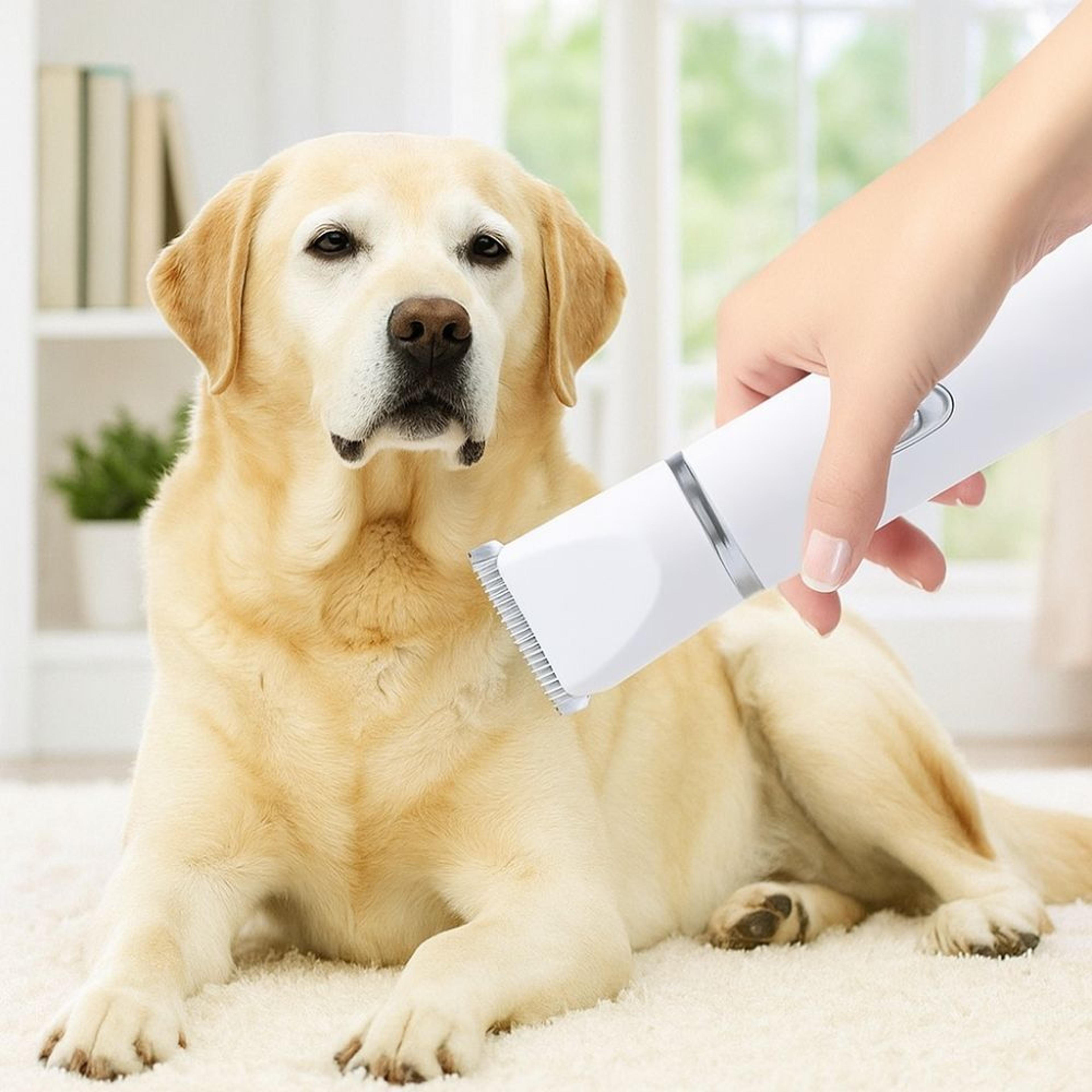 pet grooming clipper cordless low noise dog & cat hair trimmer with rechargeable battery
