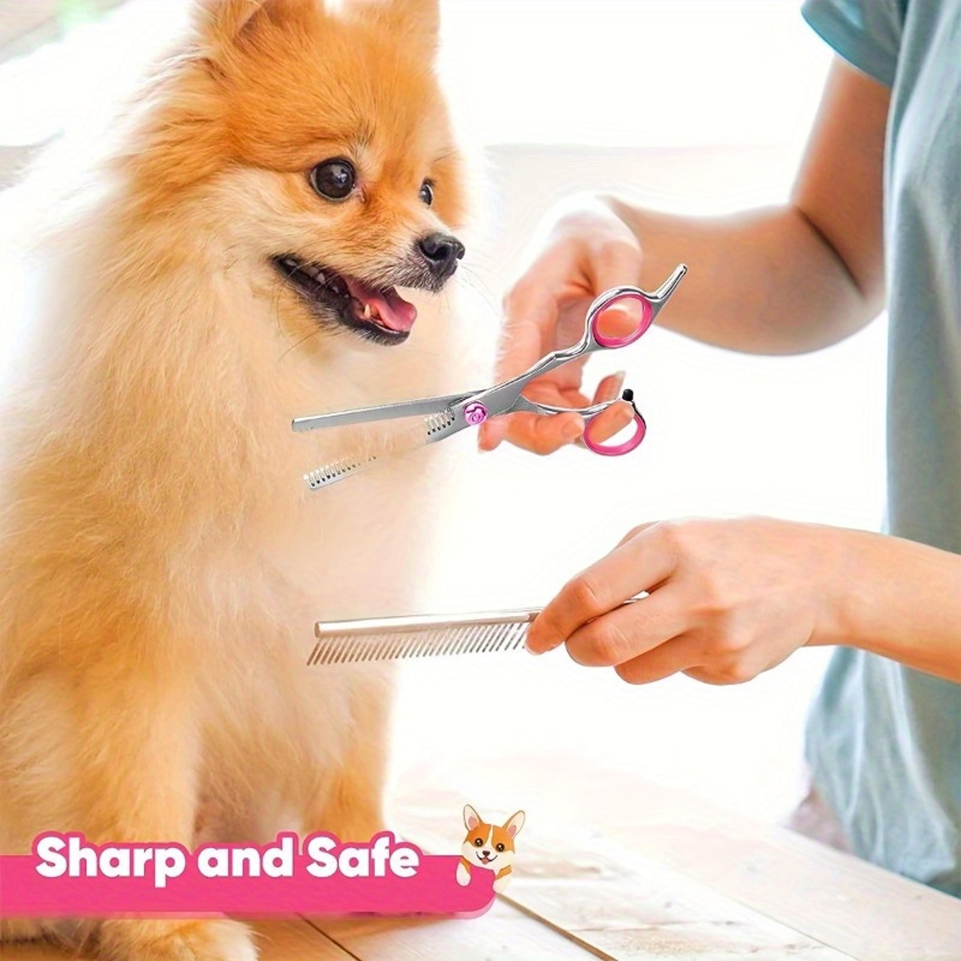 pet grooming scissors set for dogs & cats with precision thinning shears