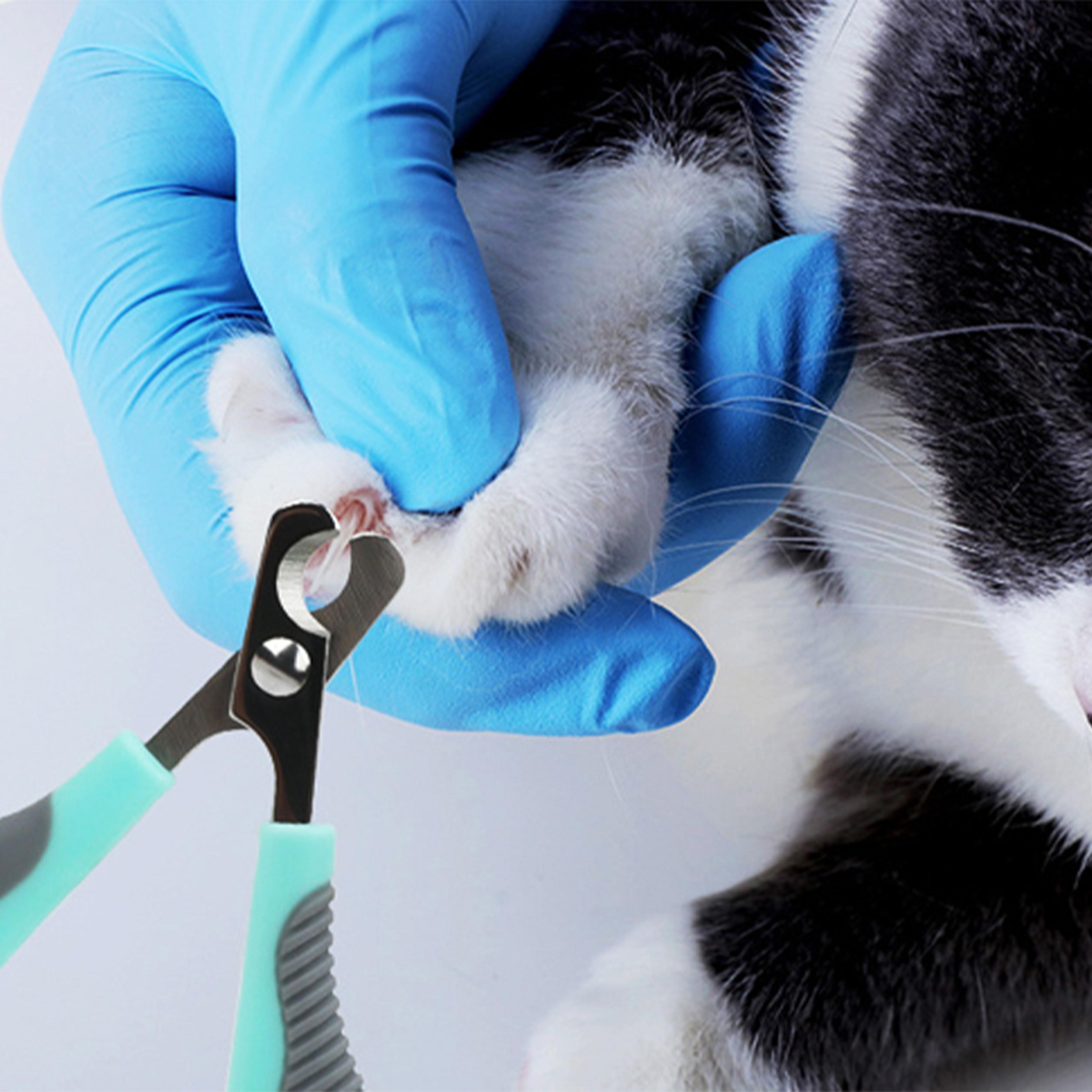professional pet nail clippers for dogs & cats ergonomic pet nail trimmer for safe grooming