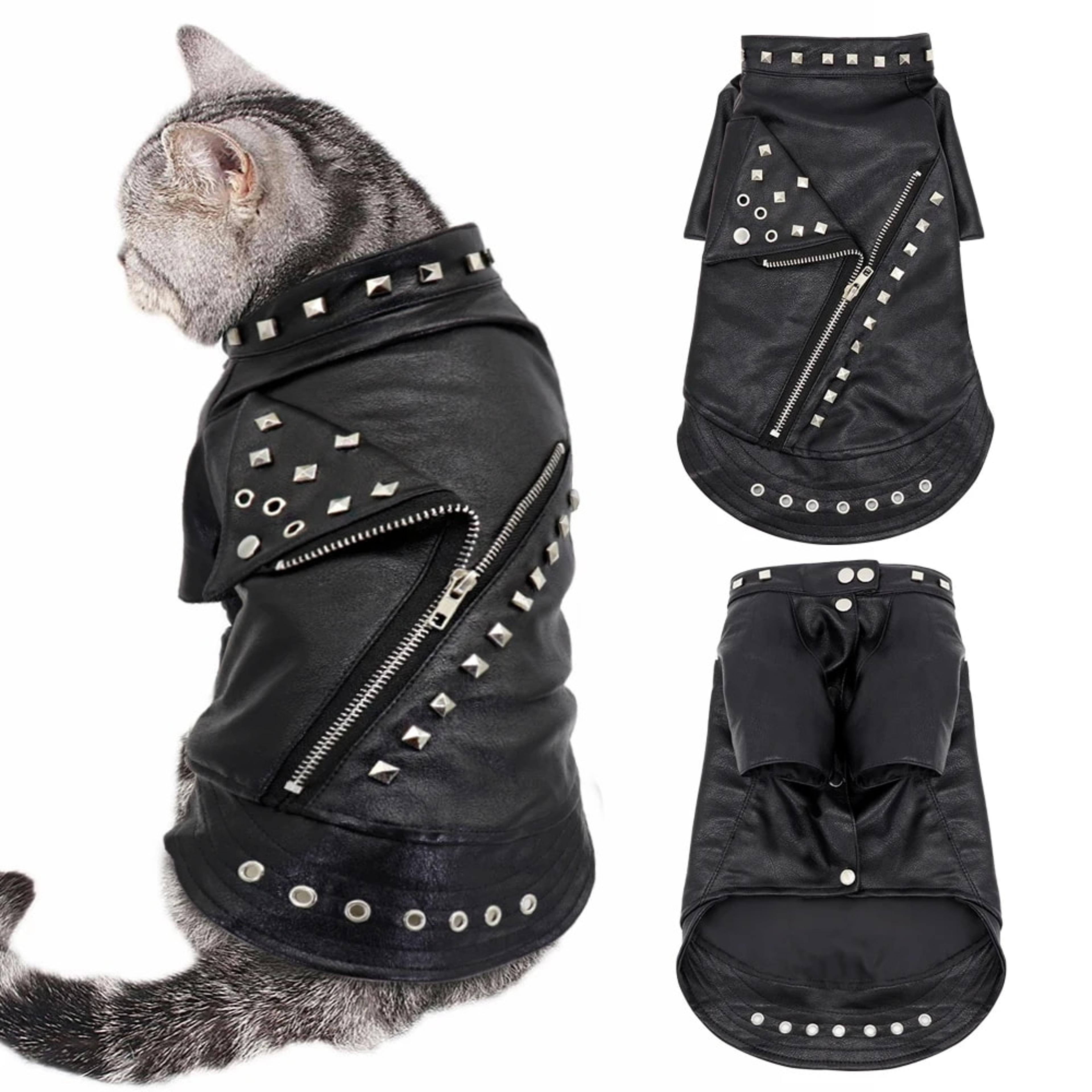leather cat jacket: warm pet clothes for autumn/winter