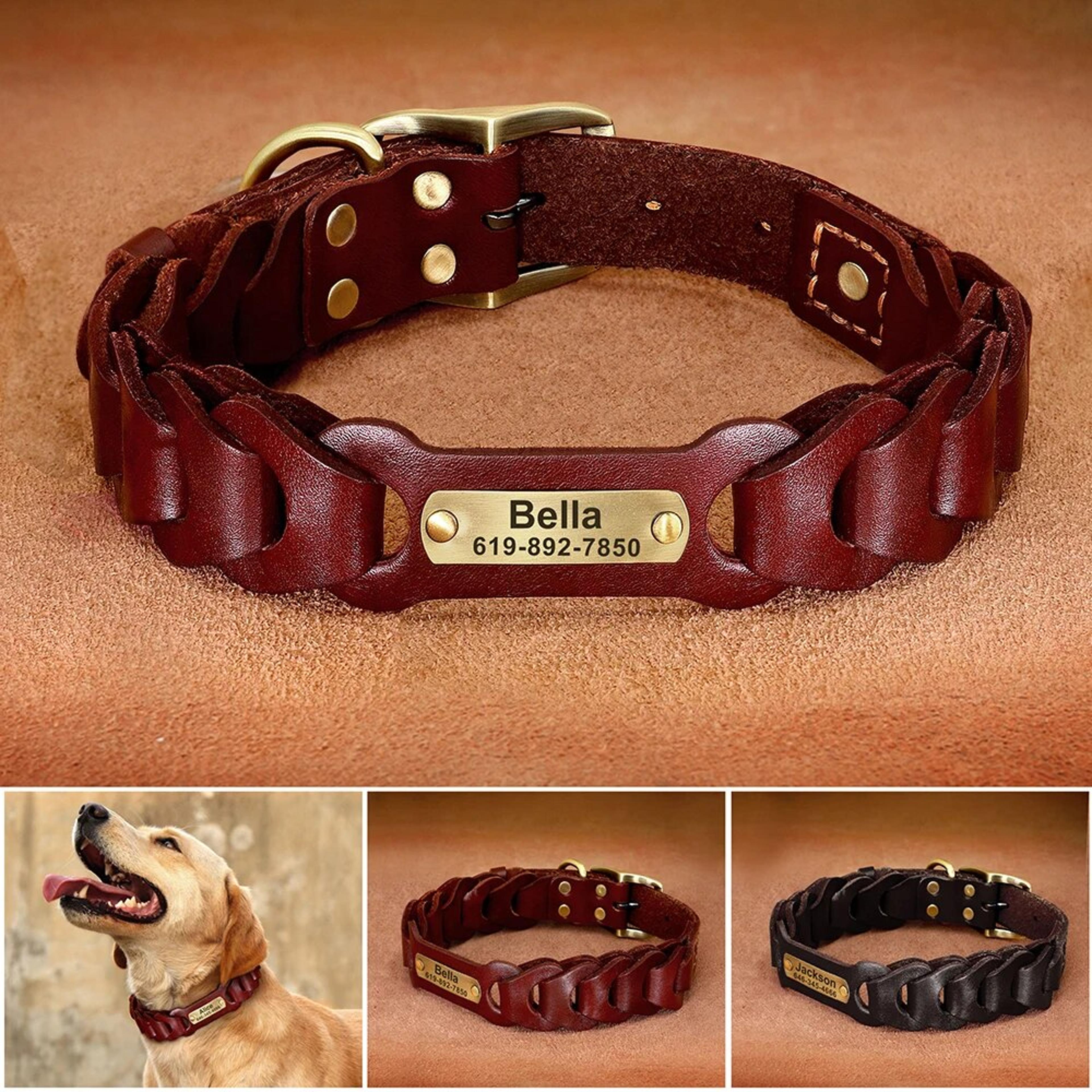 custom genuine leather dog collar | personalized pet id collar for medium & large dogs