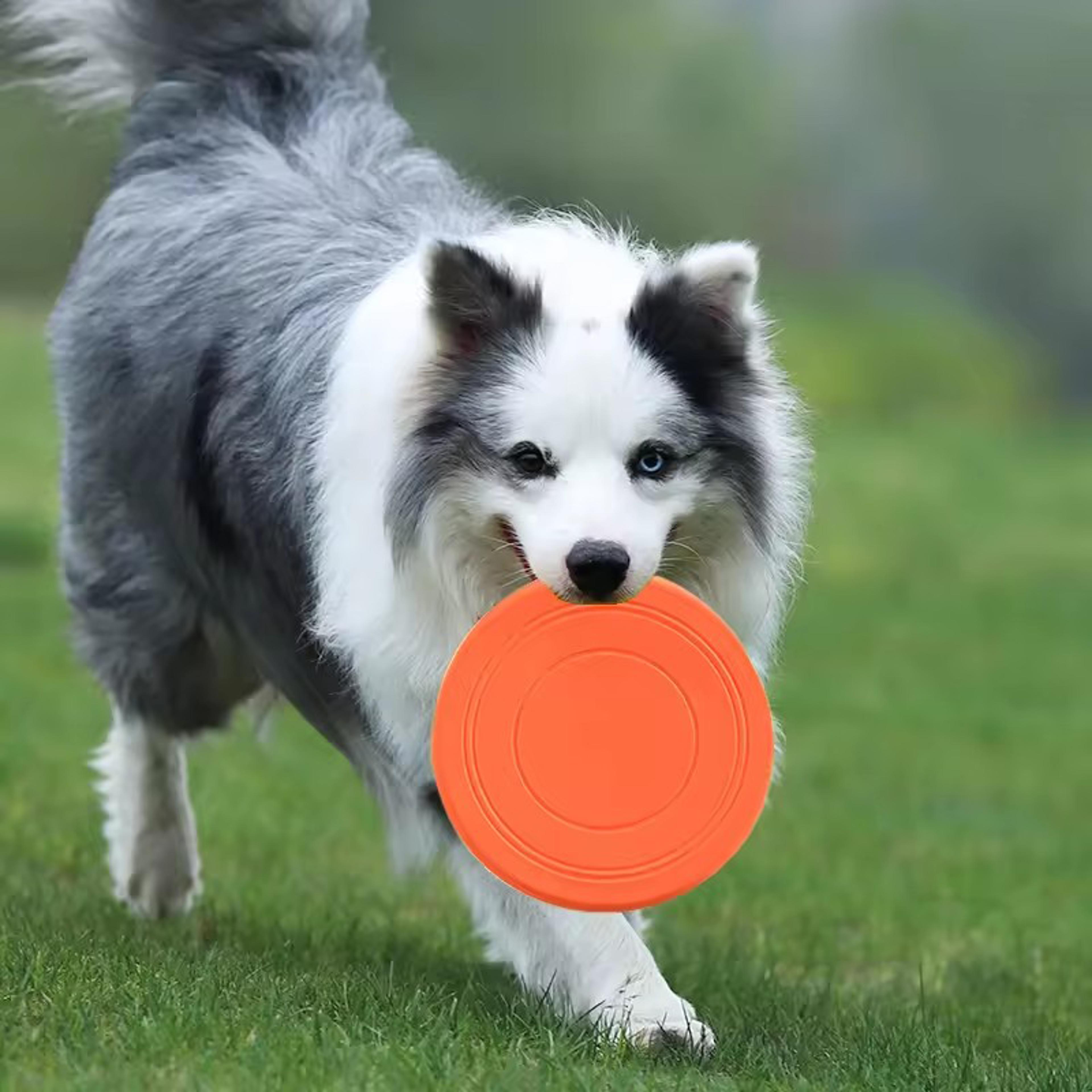 durable pet frisbee toy for dogs tear resistant rubber flying disc for training and fetch