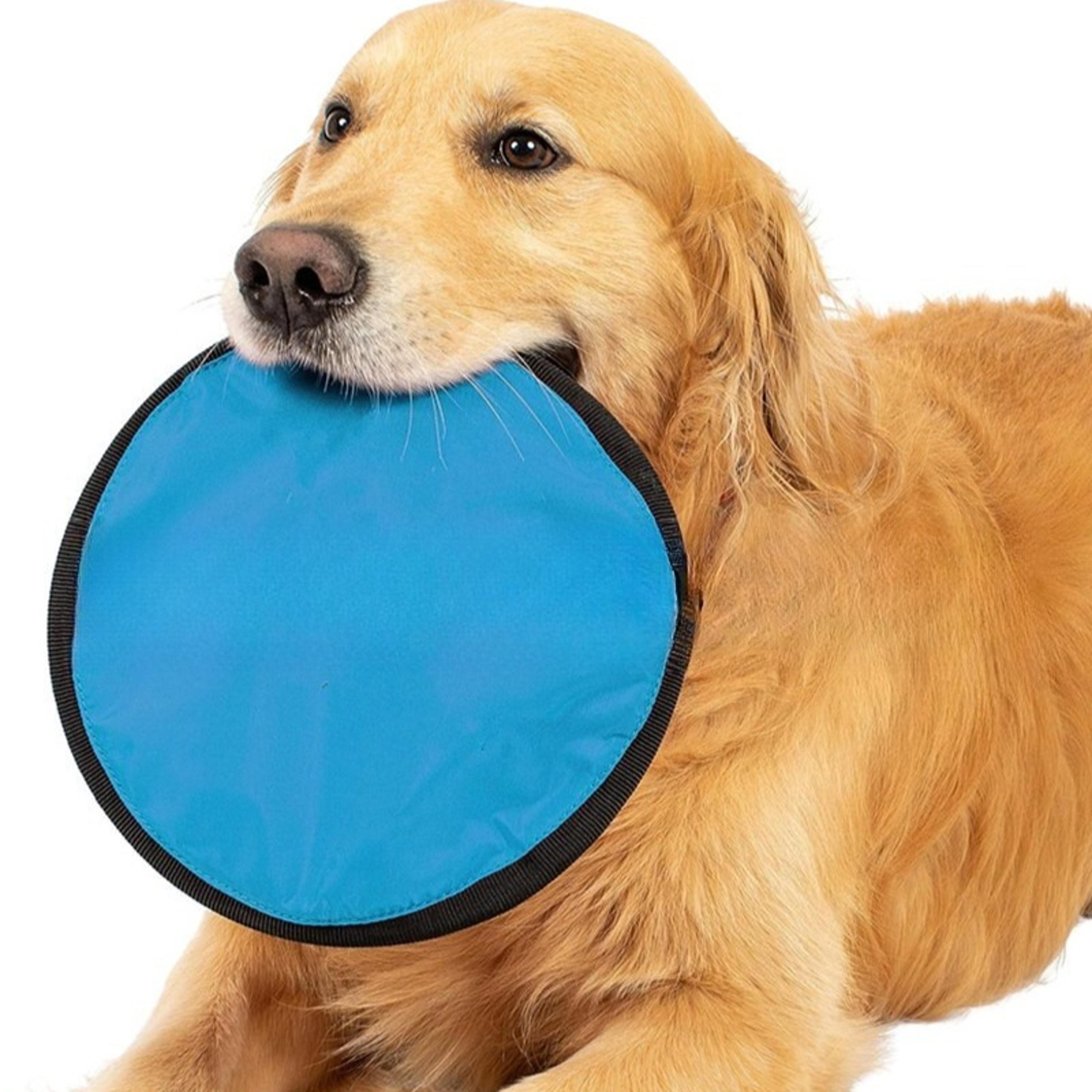 portable dog training flying disc breathable & easy to clean interactive training toy for pets