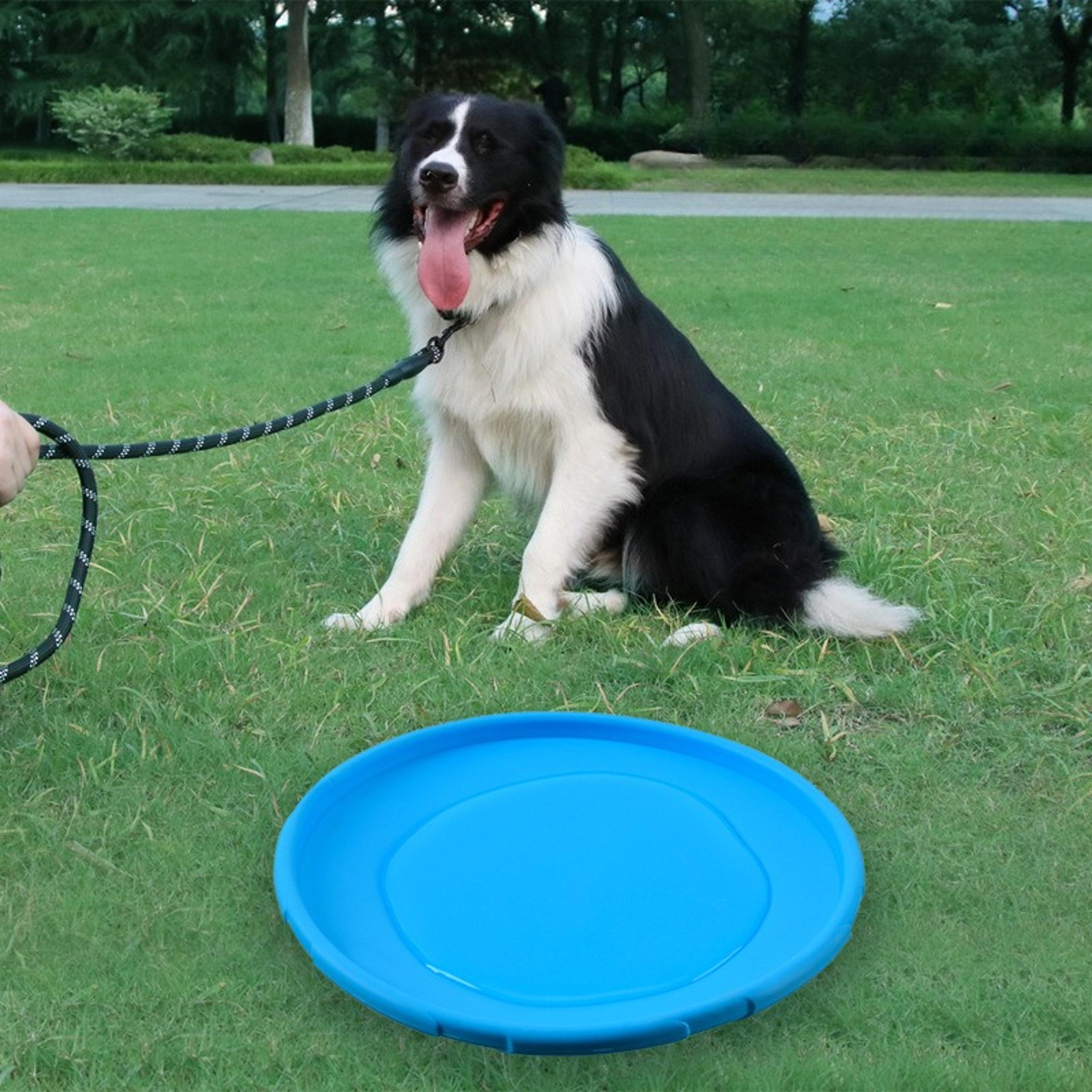 soft dog frisbee floating fetch toy for training and active play