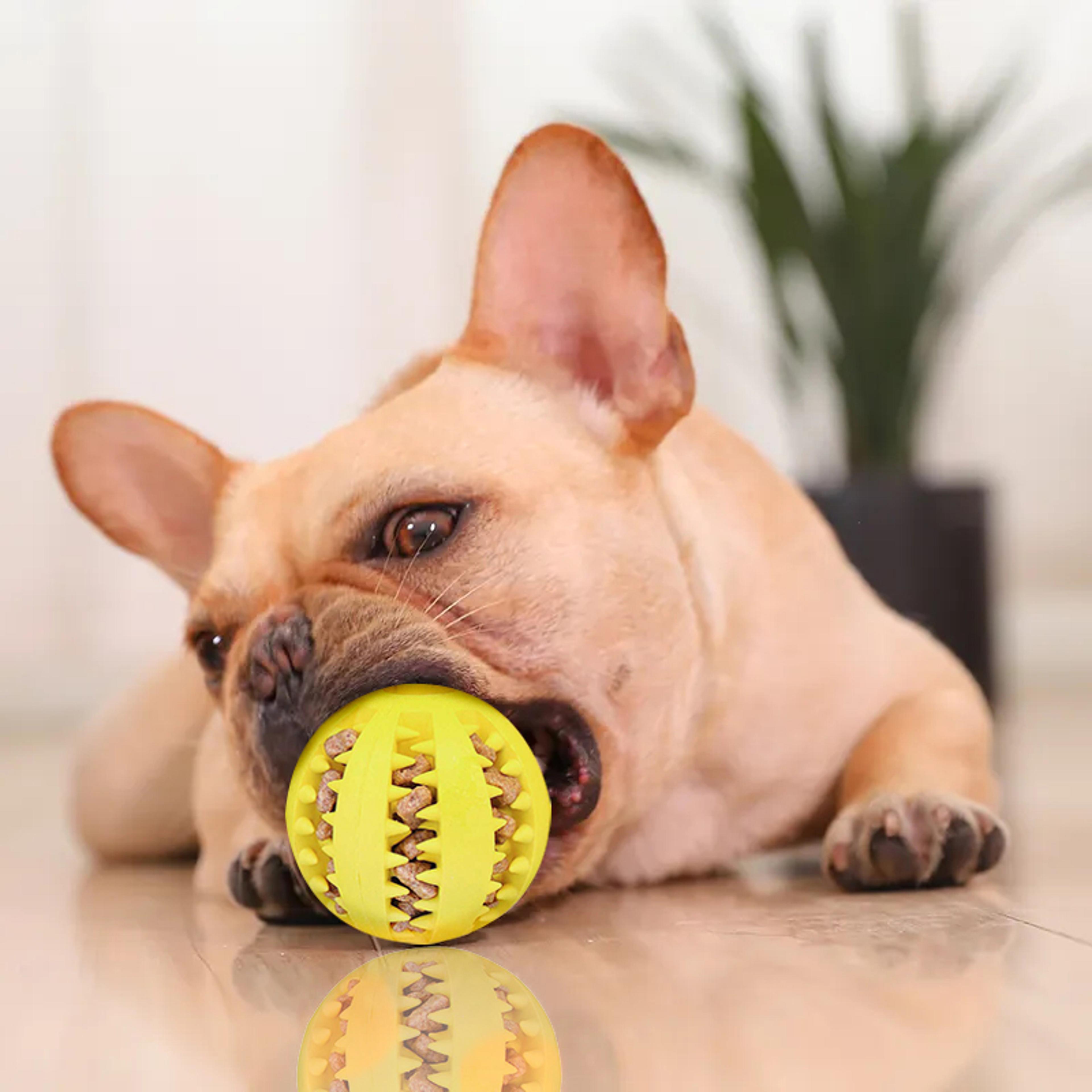 tough chew dog treat dispensing ball for teeth cleaning and interactive play