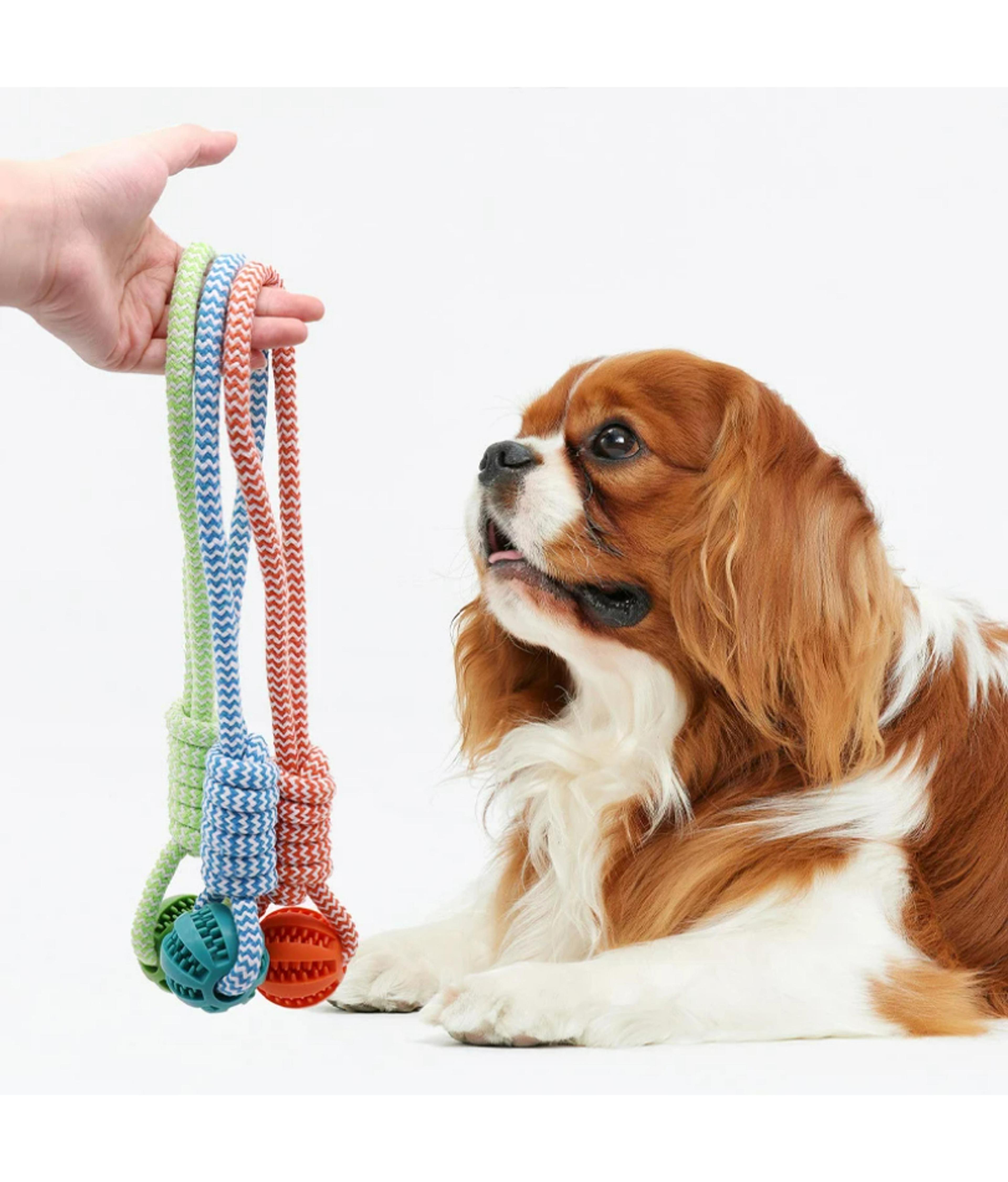 dental treat ball rope toy for dogs interactive chew and teeth cleaning