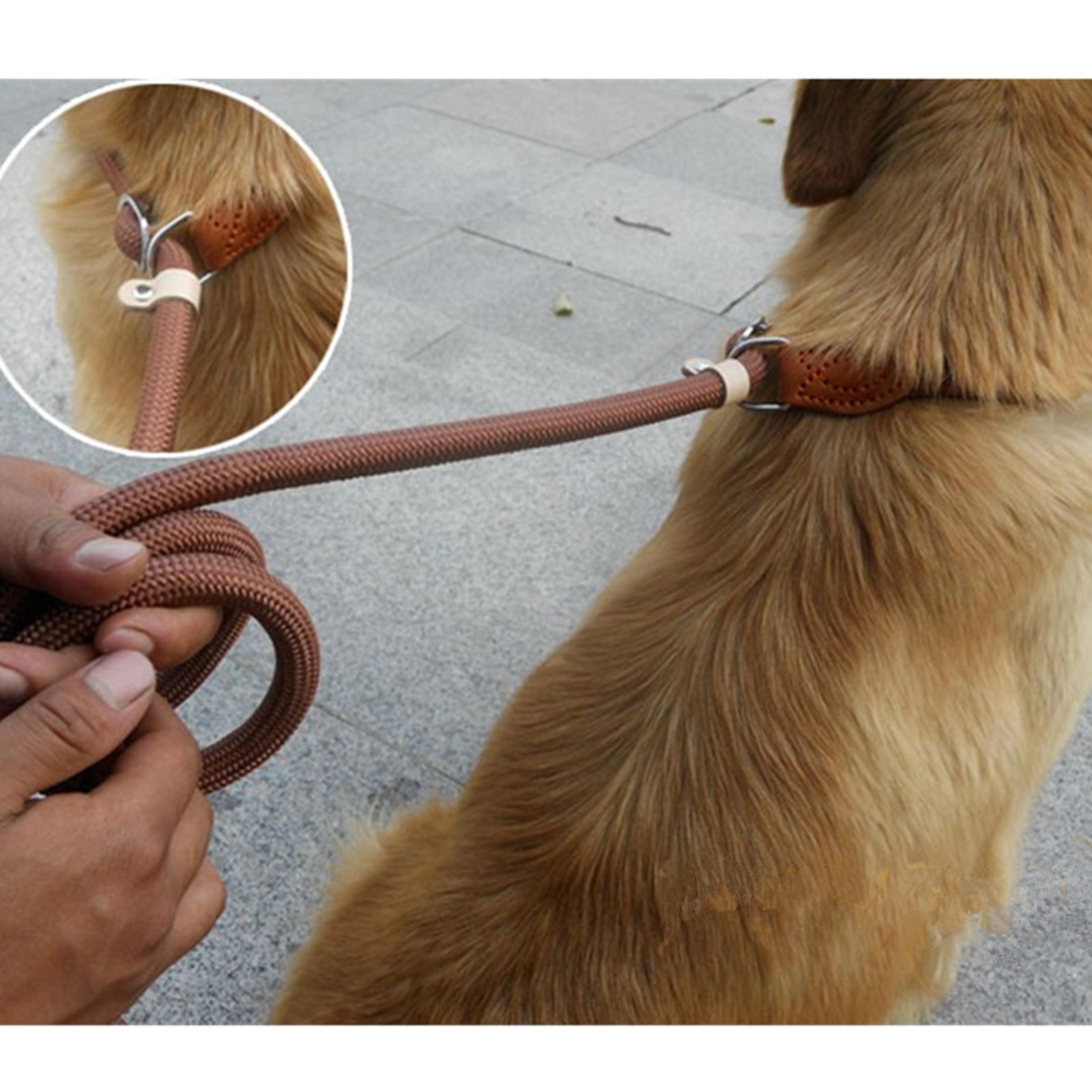heavy duty slip lead dog leash for large dogs nylon rope training lead