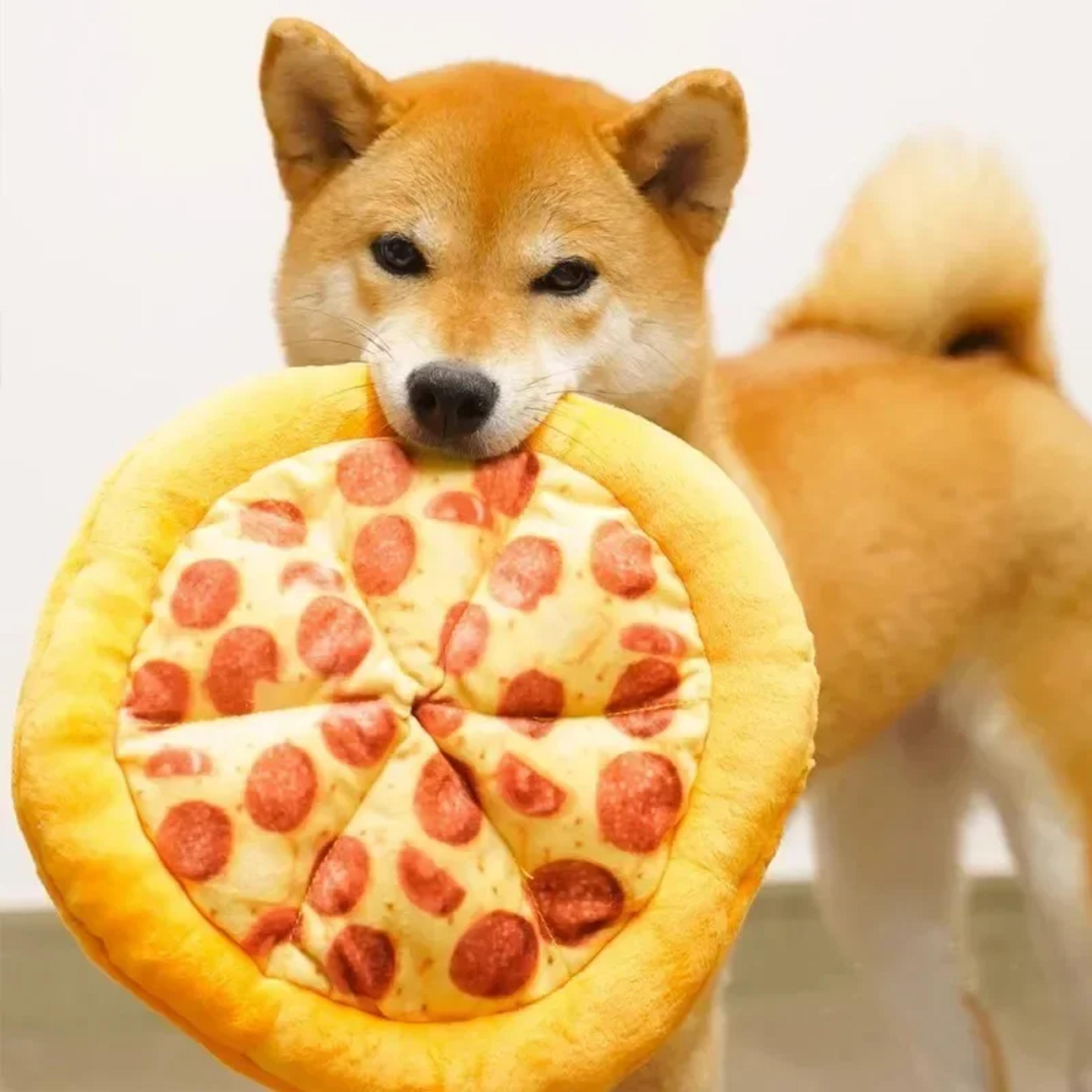pizza dog toy plush squeaky chew toy for puppies and small dogs