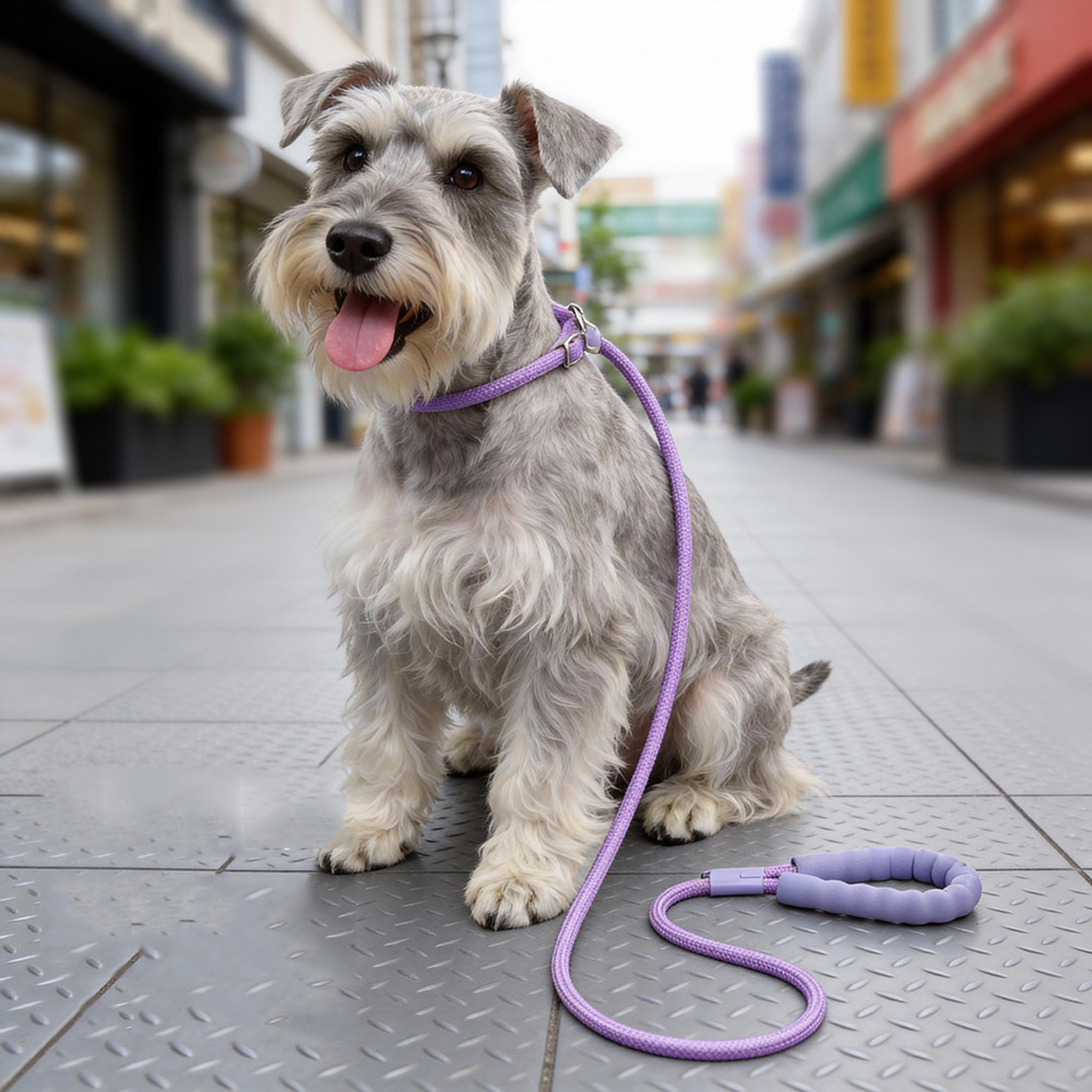 heavy duty slip lead dog leash with padded handle for training and daily walks