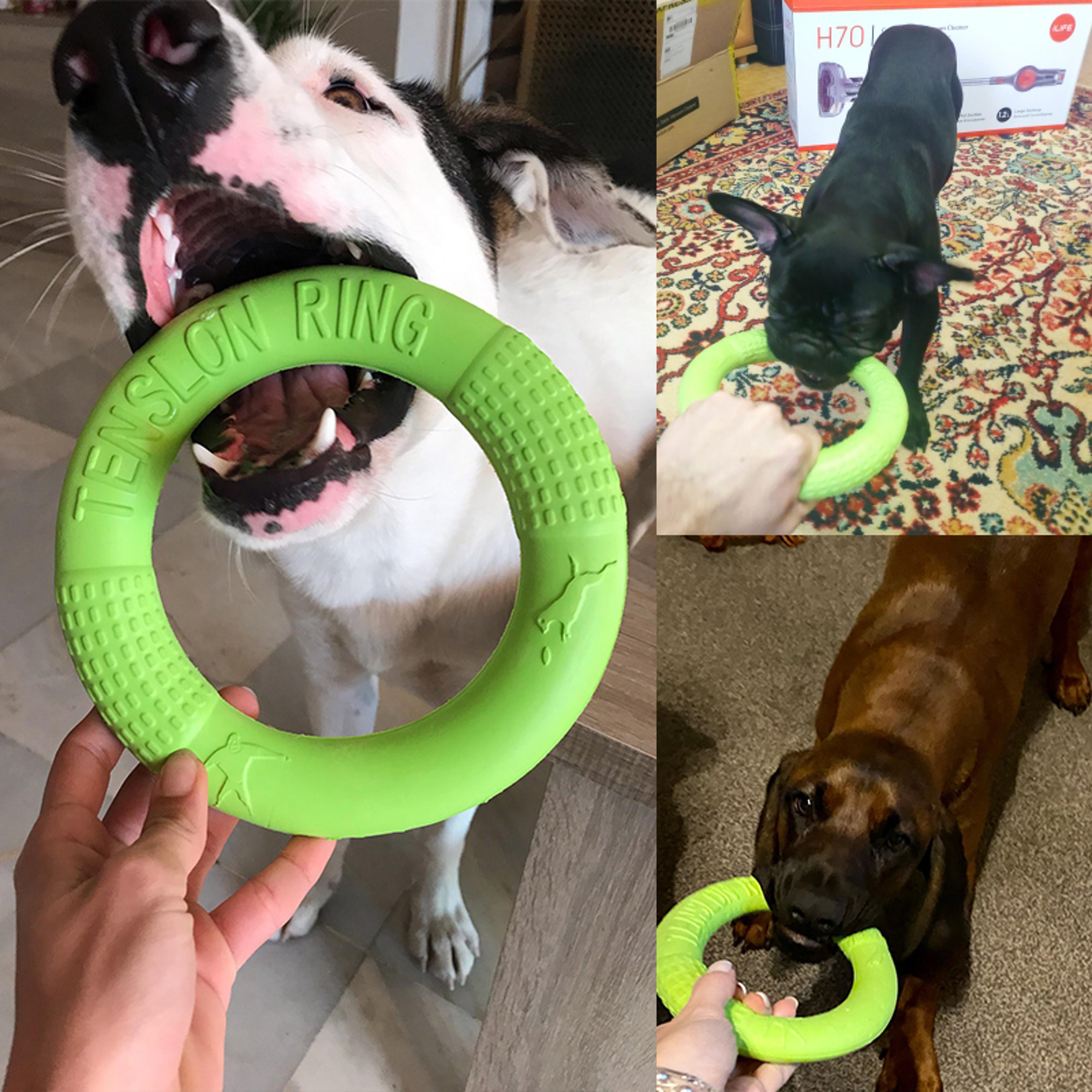 dog training ring for active dogs and large breeds