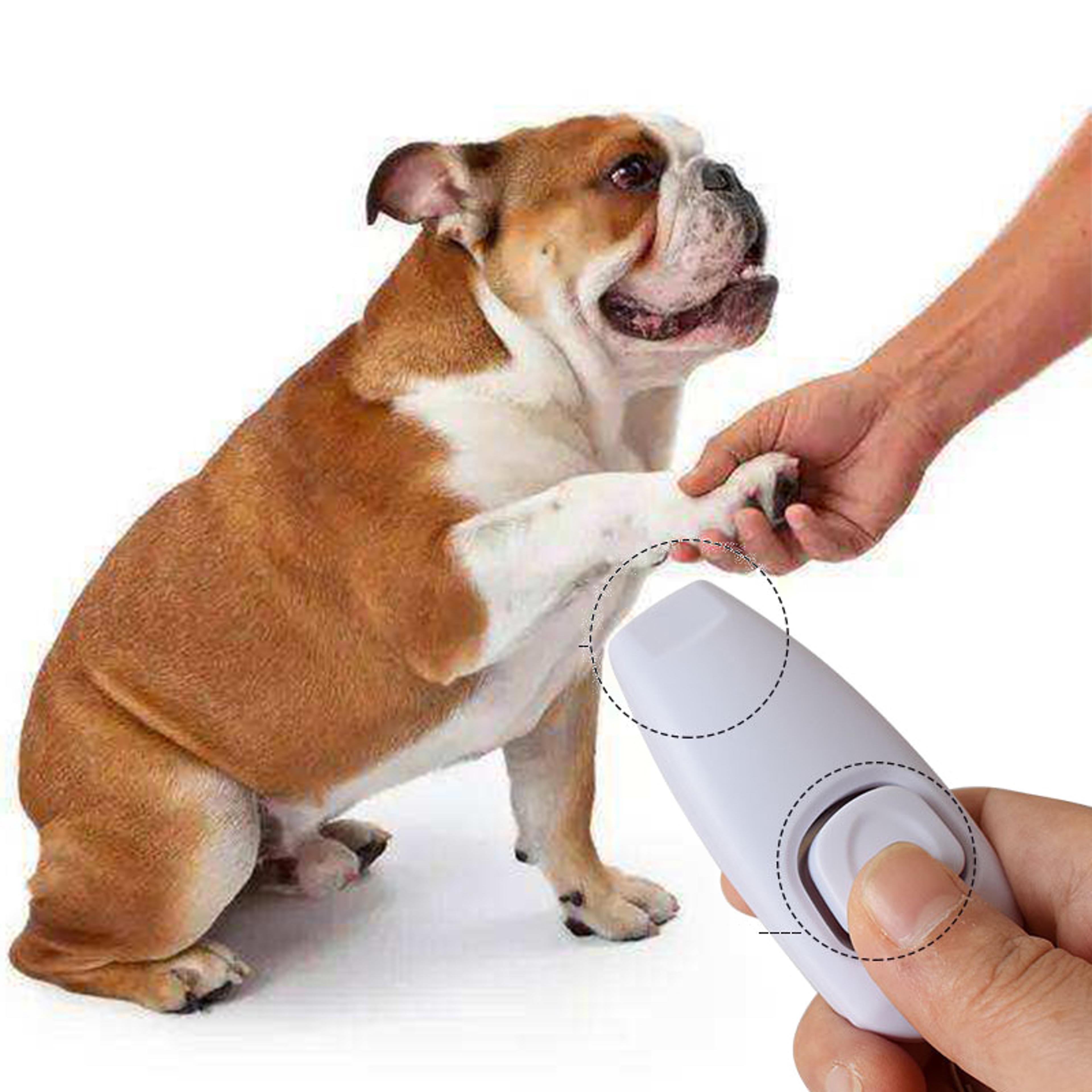 dog training clicker & dog whistle with key ring for recall and obedience
