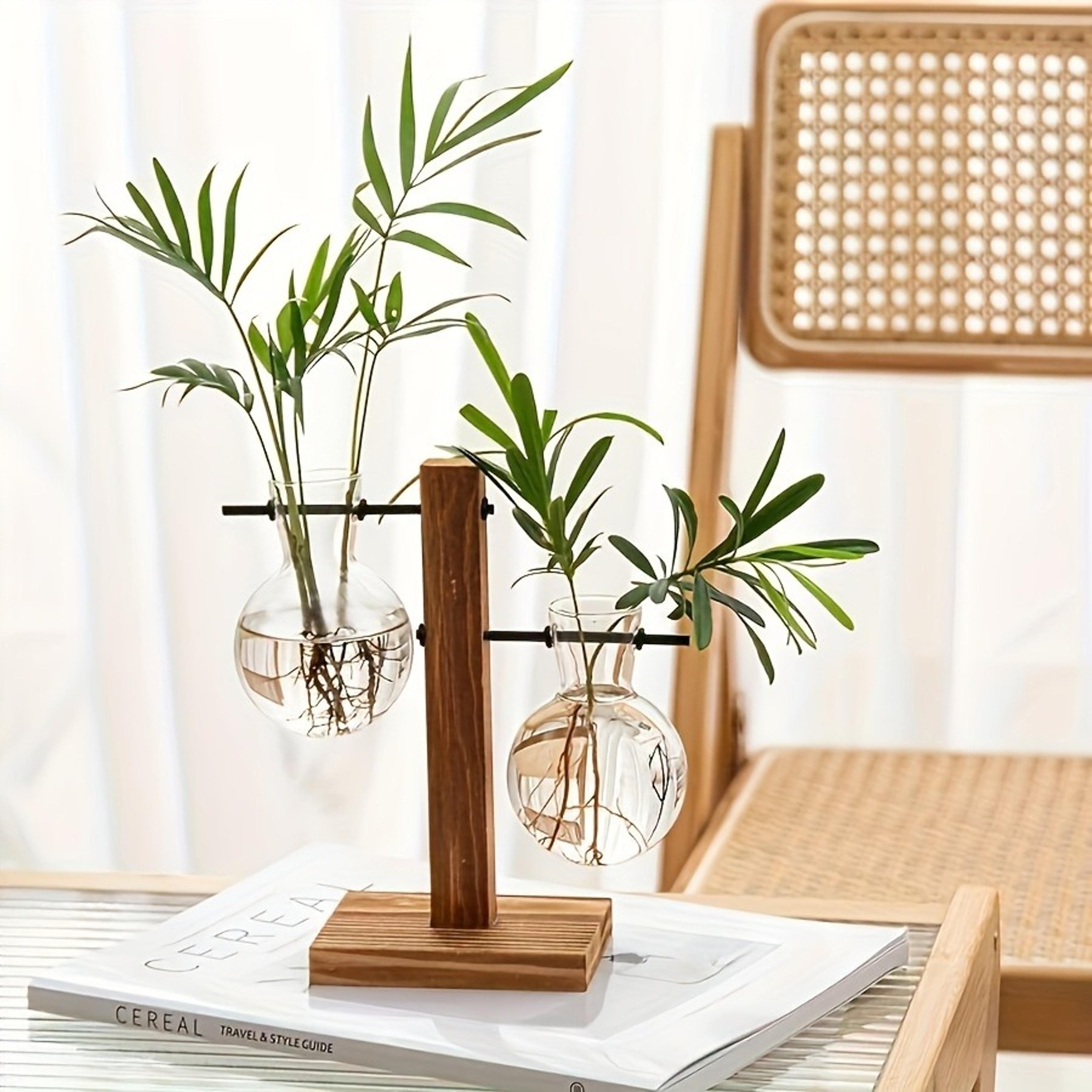 vintage plant propagation station with wooden stand and hydroponic glass vase