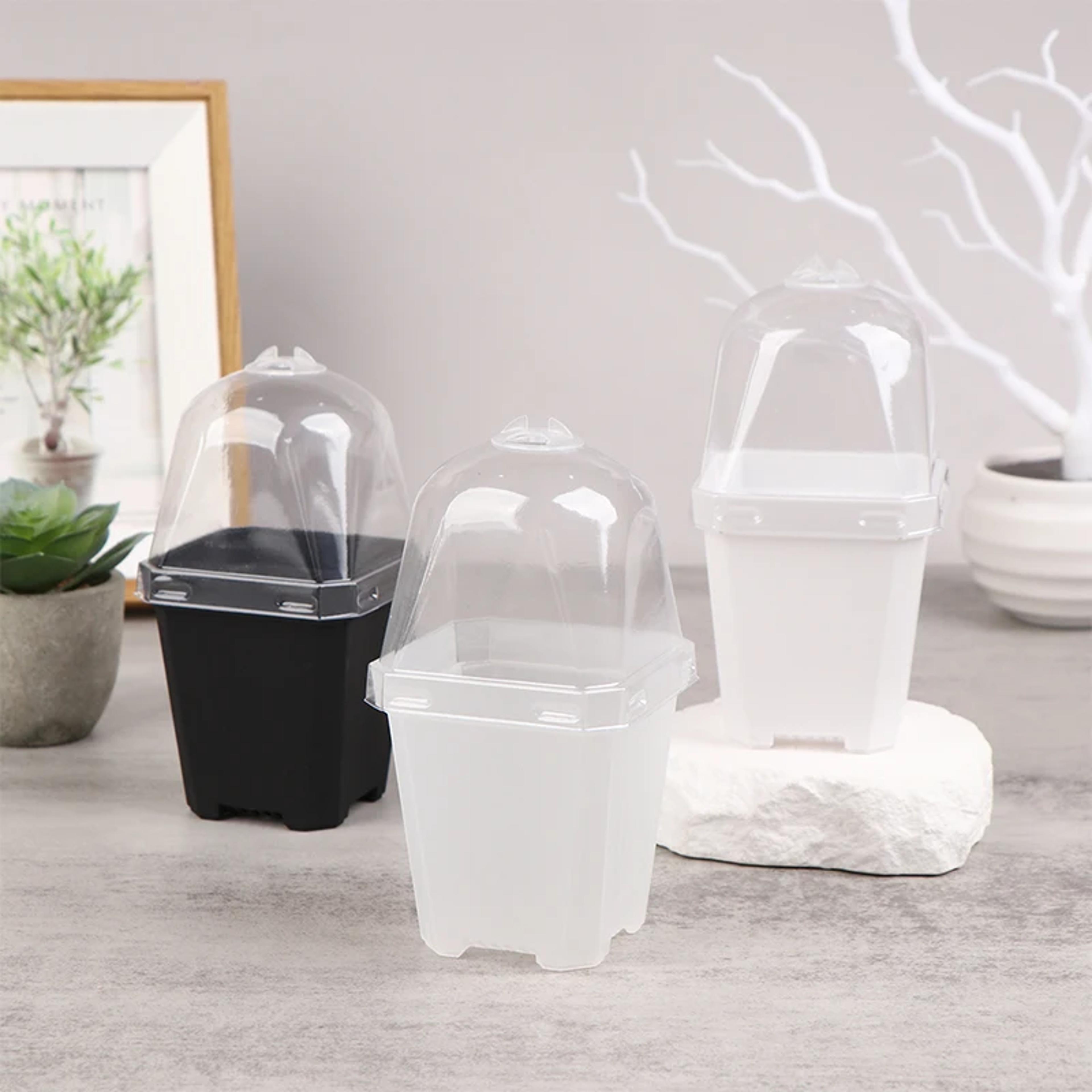 seed starting pots with clear humidity dome for seedlings and cuttings