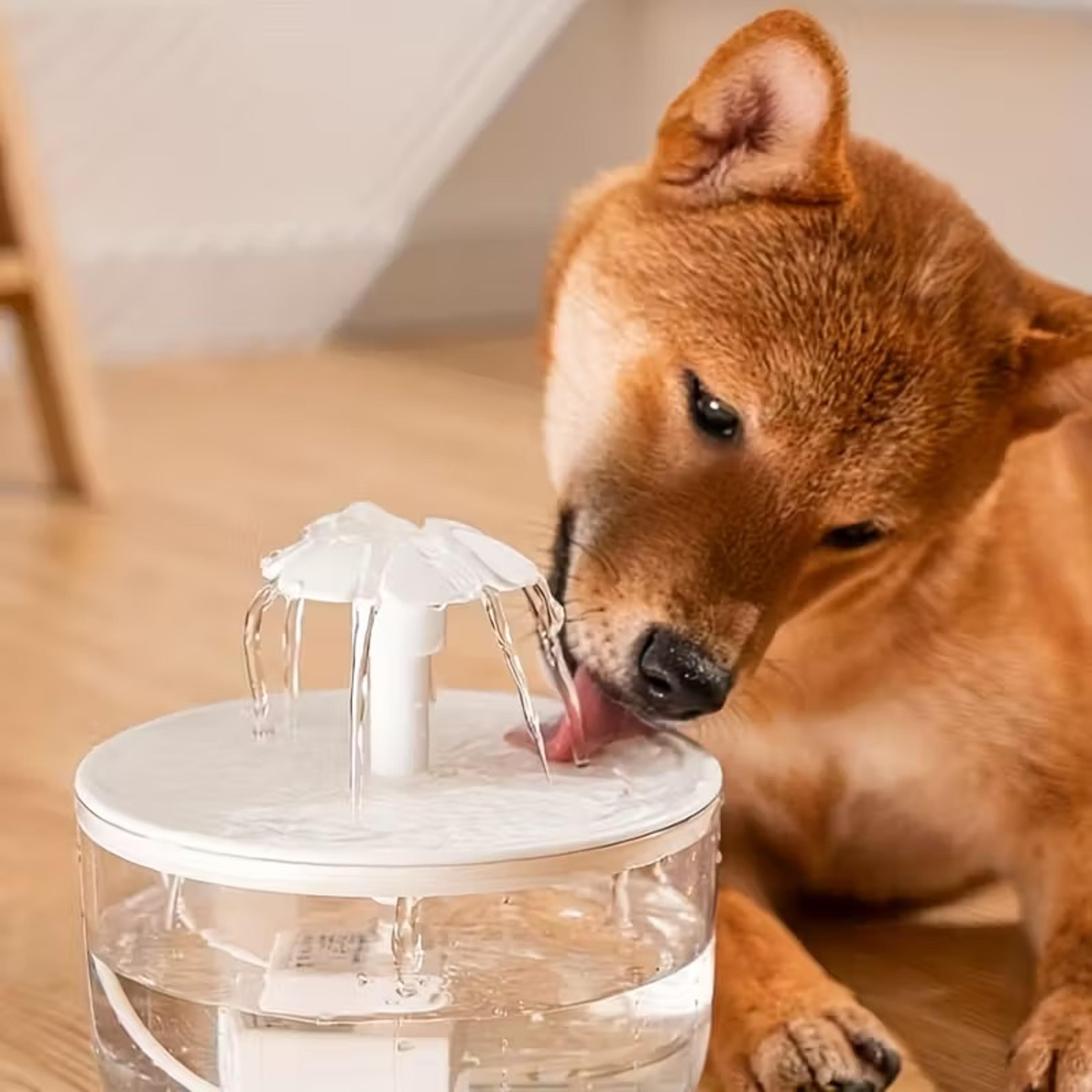 automatic pet water fountain silent usb power, large capacity pet water dispenser for cats & dogs
