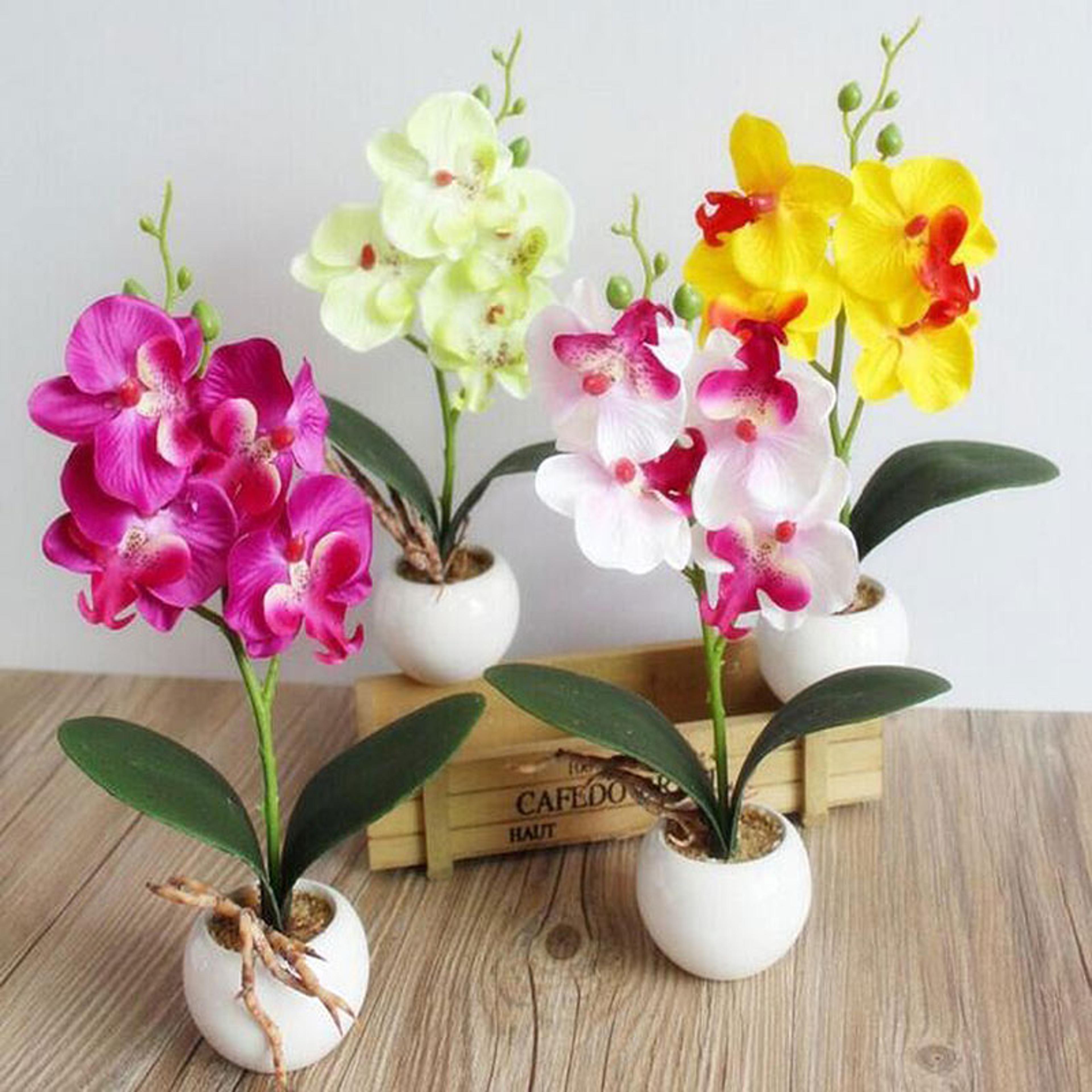 catchy orchid and butterfly designs: explore creative bonsai flower arranging accessories sp99