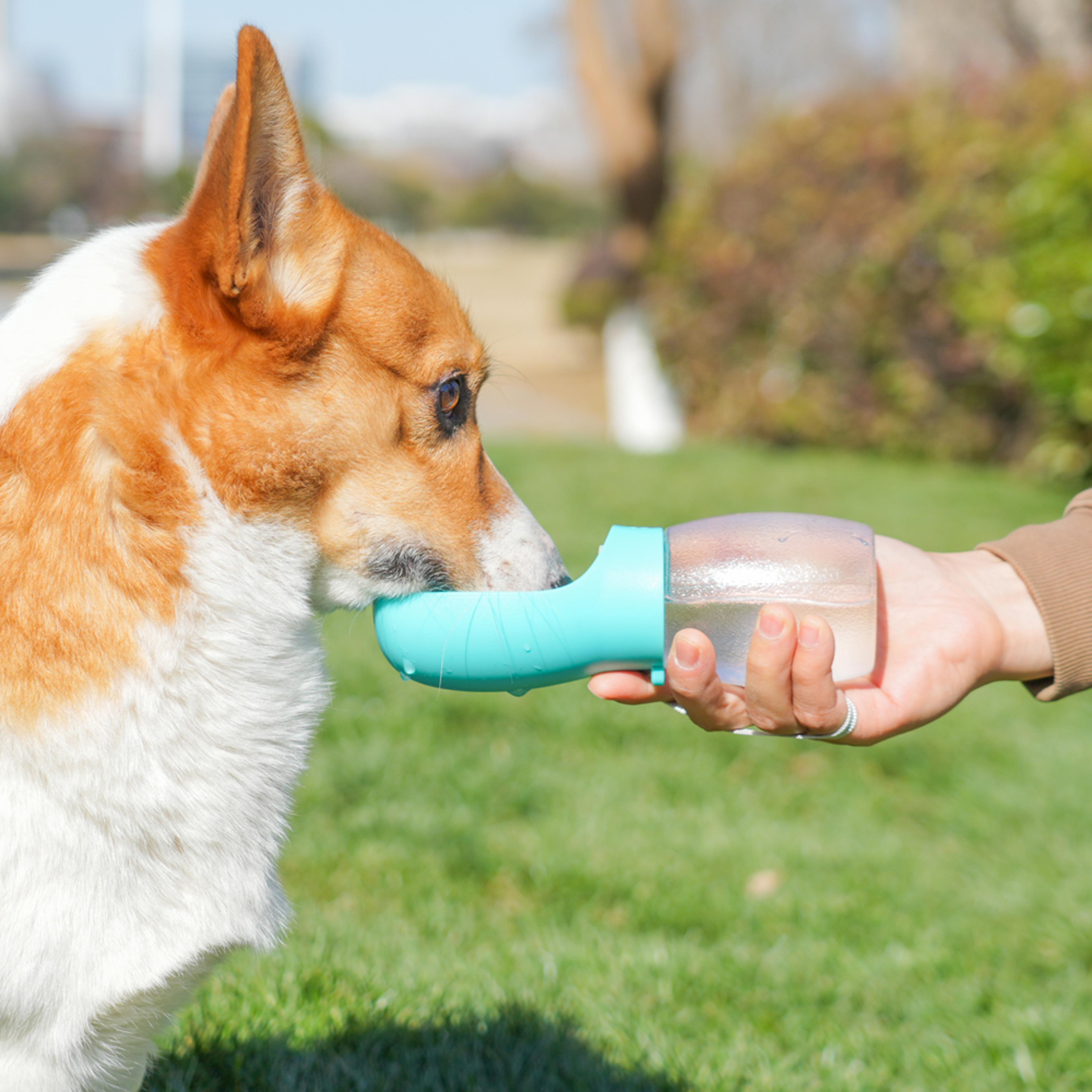 portable dog water bottle leakproof pet travel water dispenser with drinking bowl