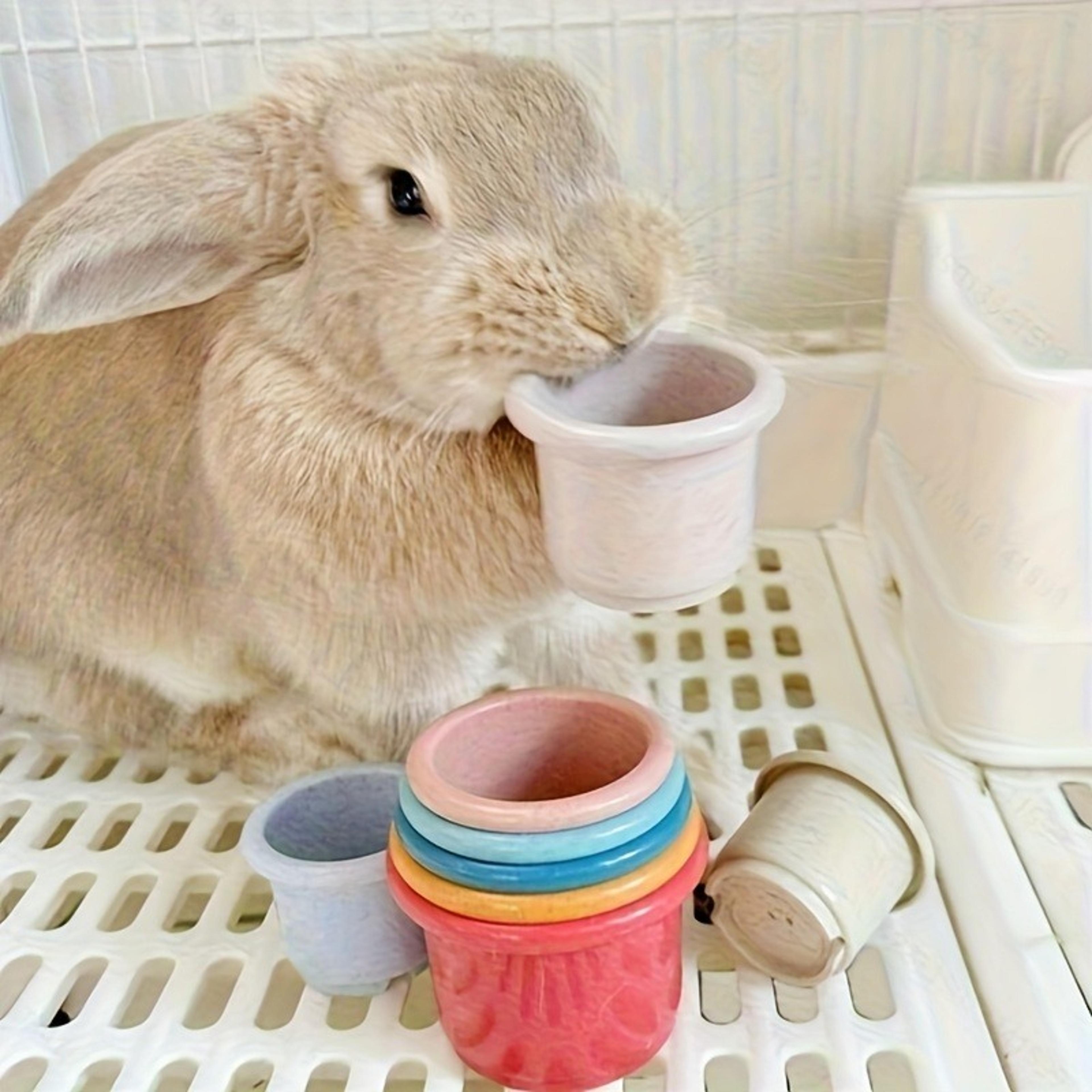 rabbit stacking cups bunny toy set interactive rabbit enrichment toy for treat hiding