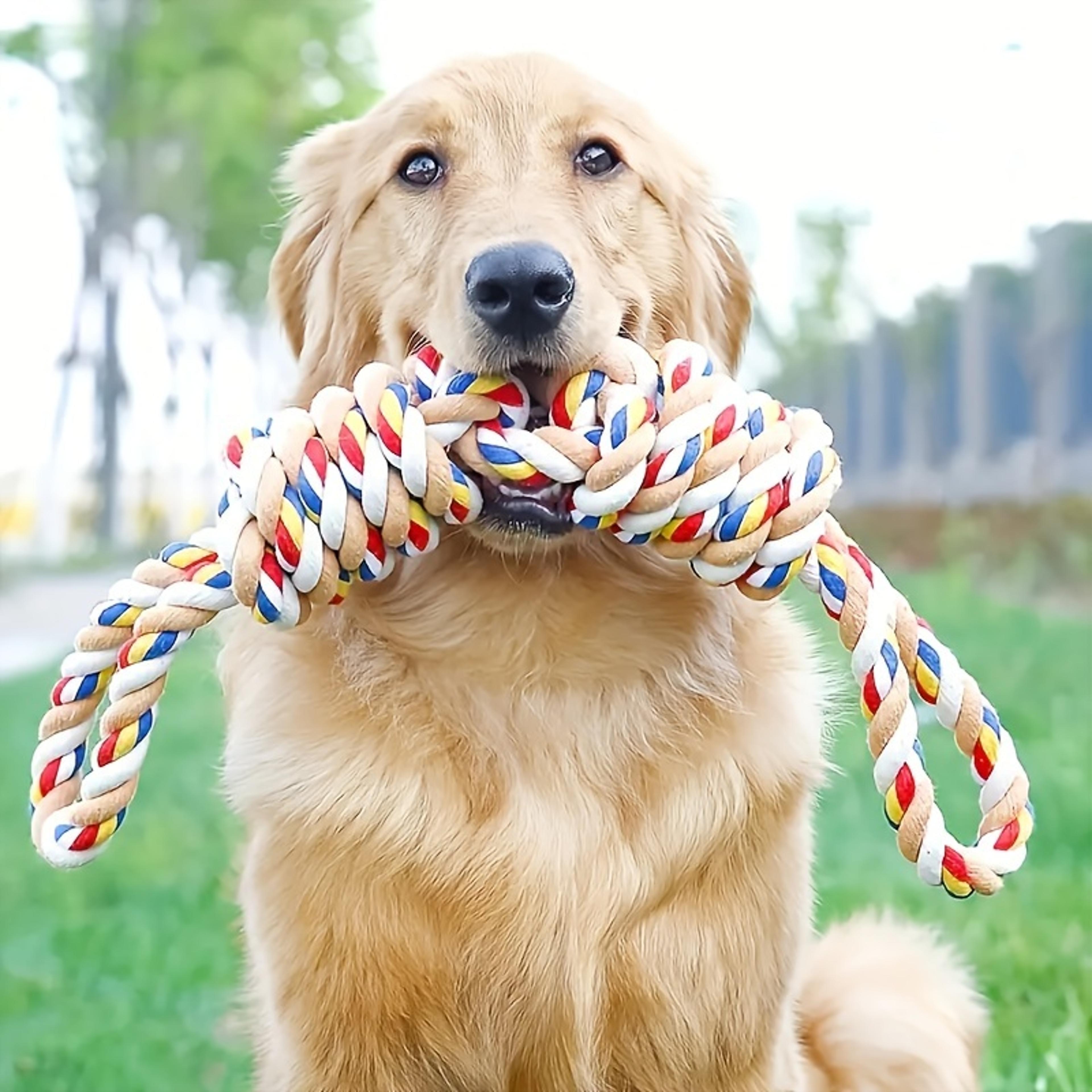 dog rope toy for teeth cleaning, interactive tug & durable cotton dog chew toy