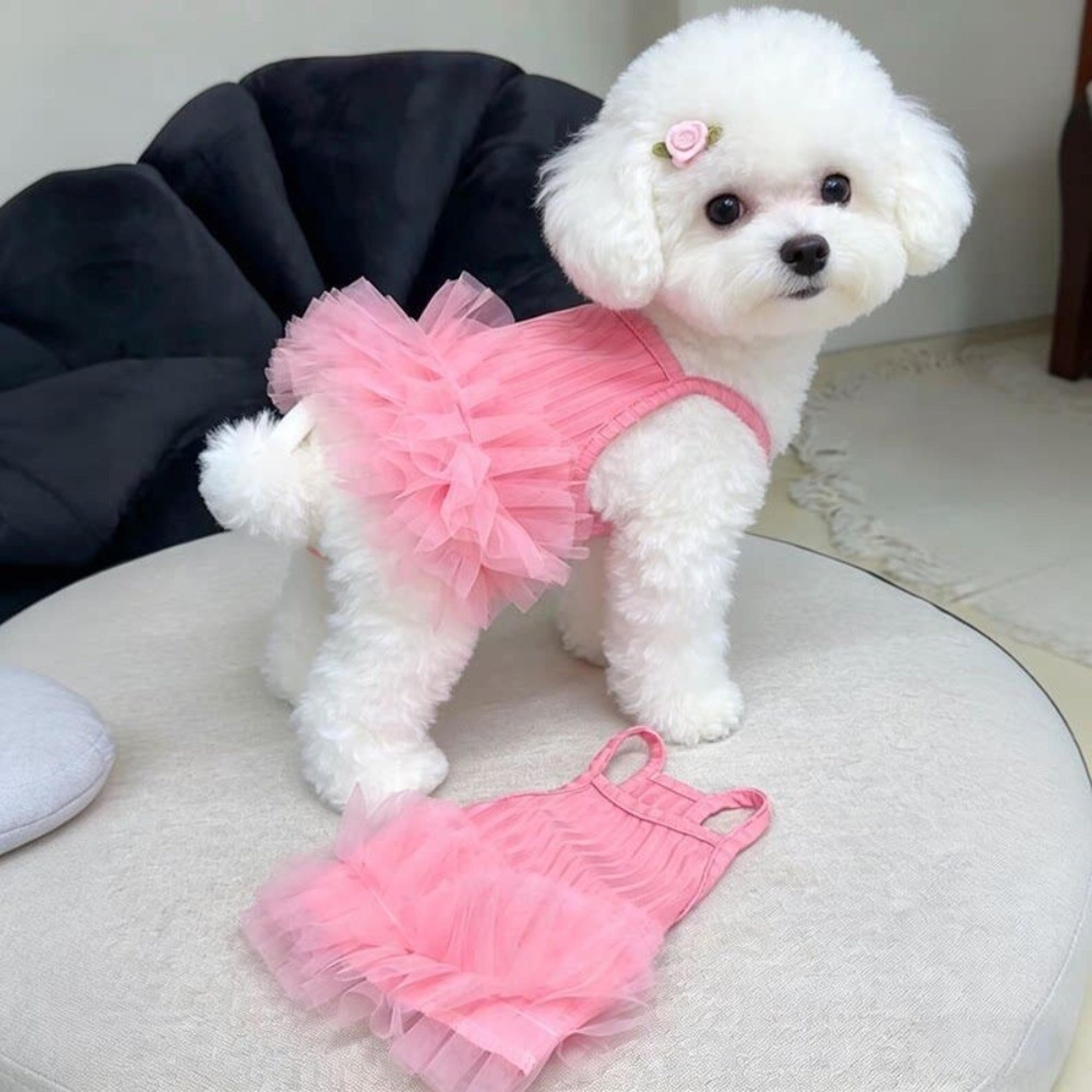 breathable small dog dress summer princess tutu dress for puppies & cats