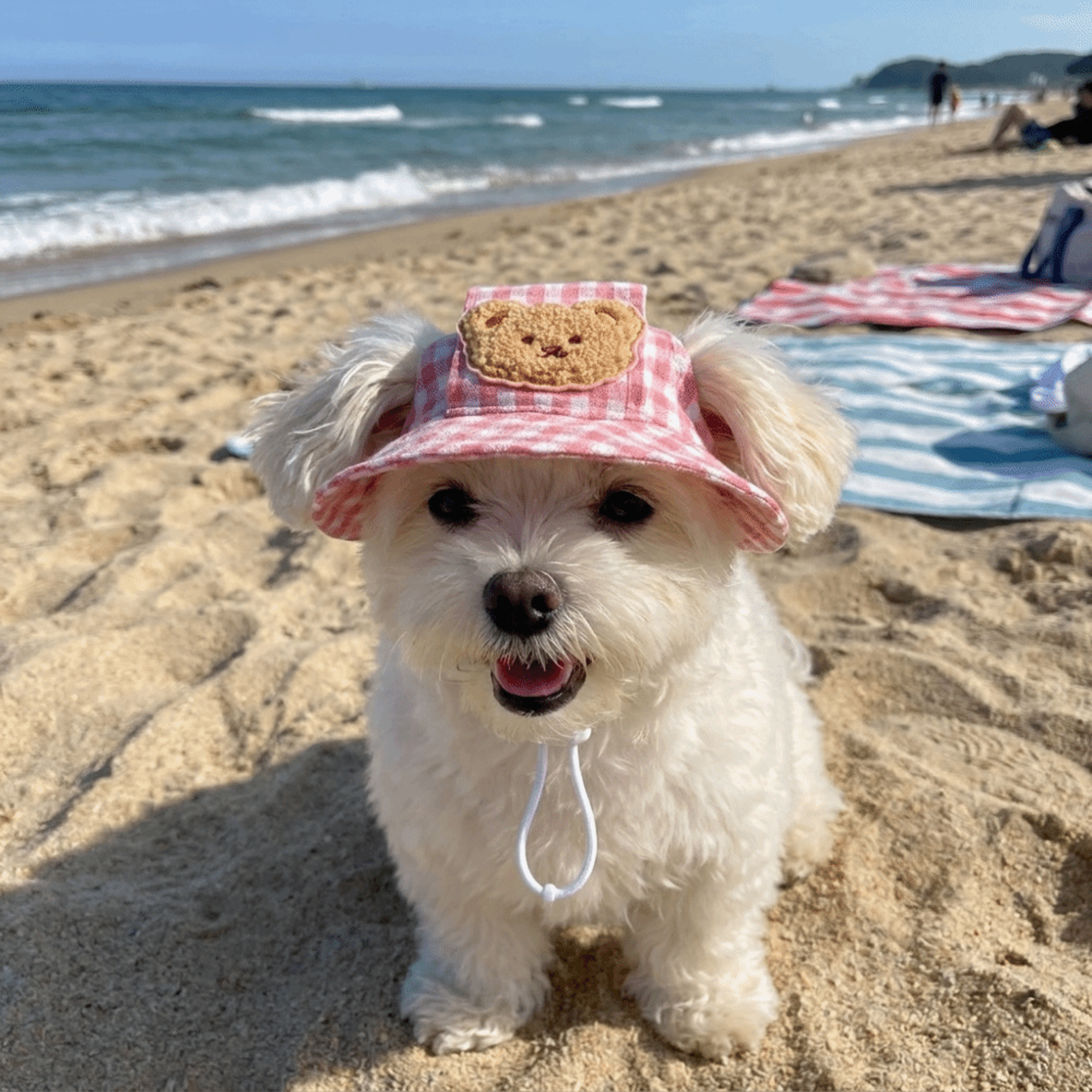 breathable pet bucket hat adjustable dog sun hat with ear holes plaid cotton cap for dogs & cats
