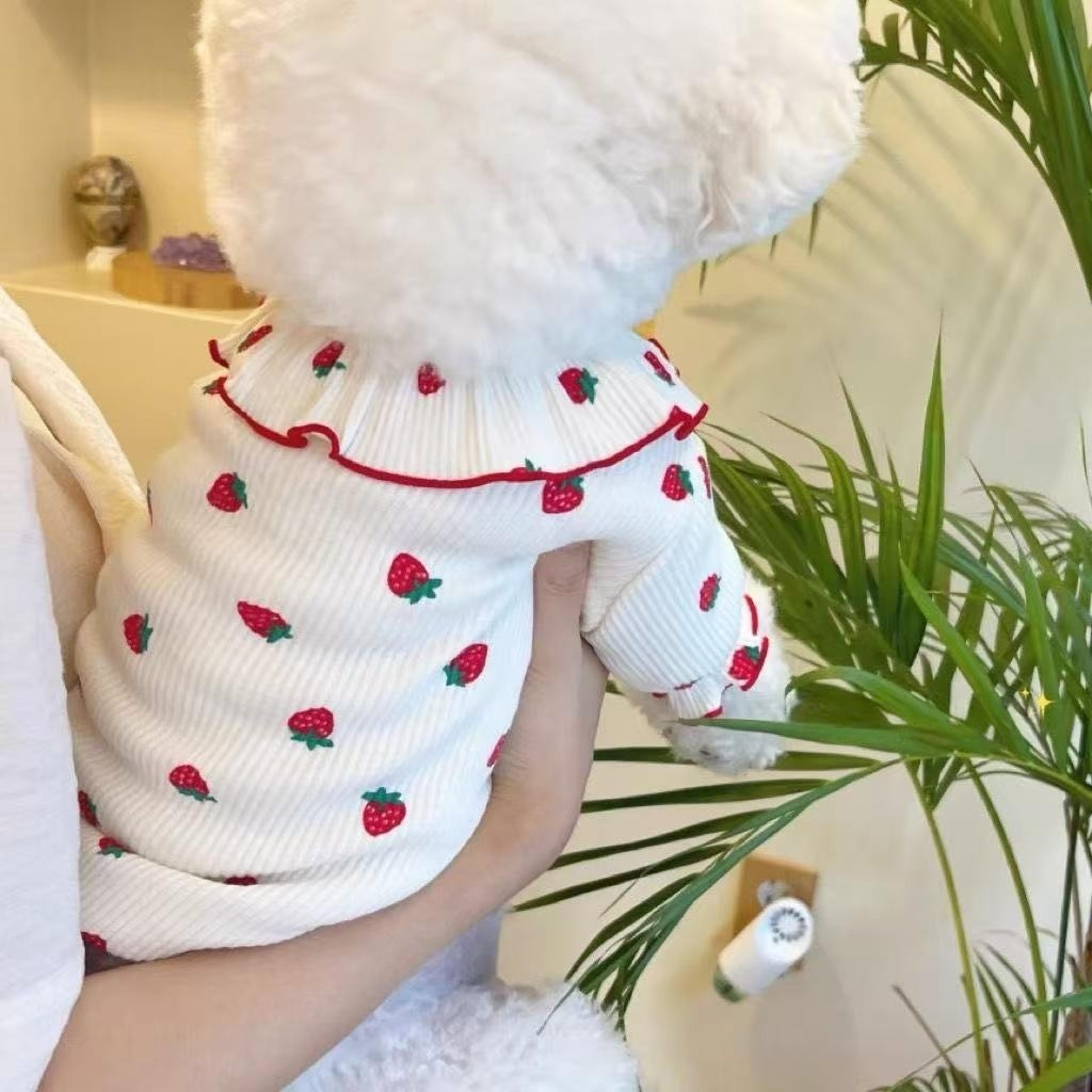 strawberry small dog clothes summer dog vest with ruffled collar for cats & puppies