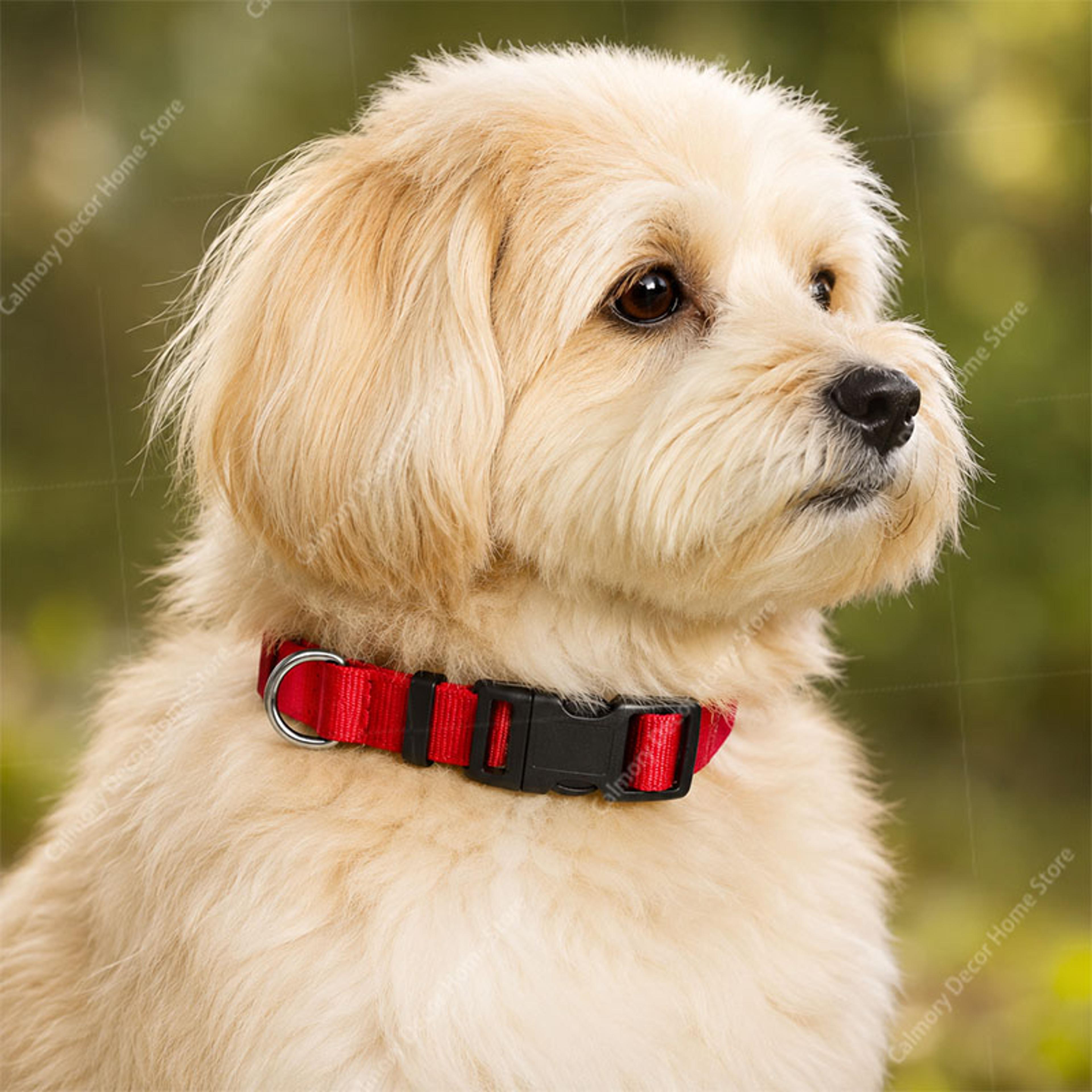 adjustable nylon dog collar for small, medium & large dogs soft comfortable puppy training collar
