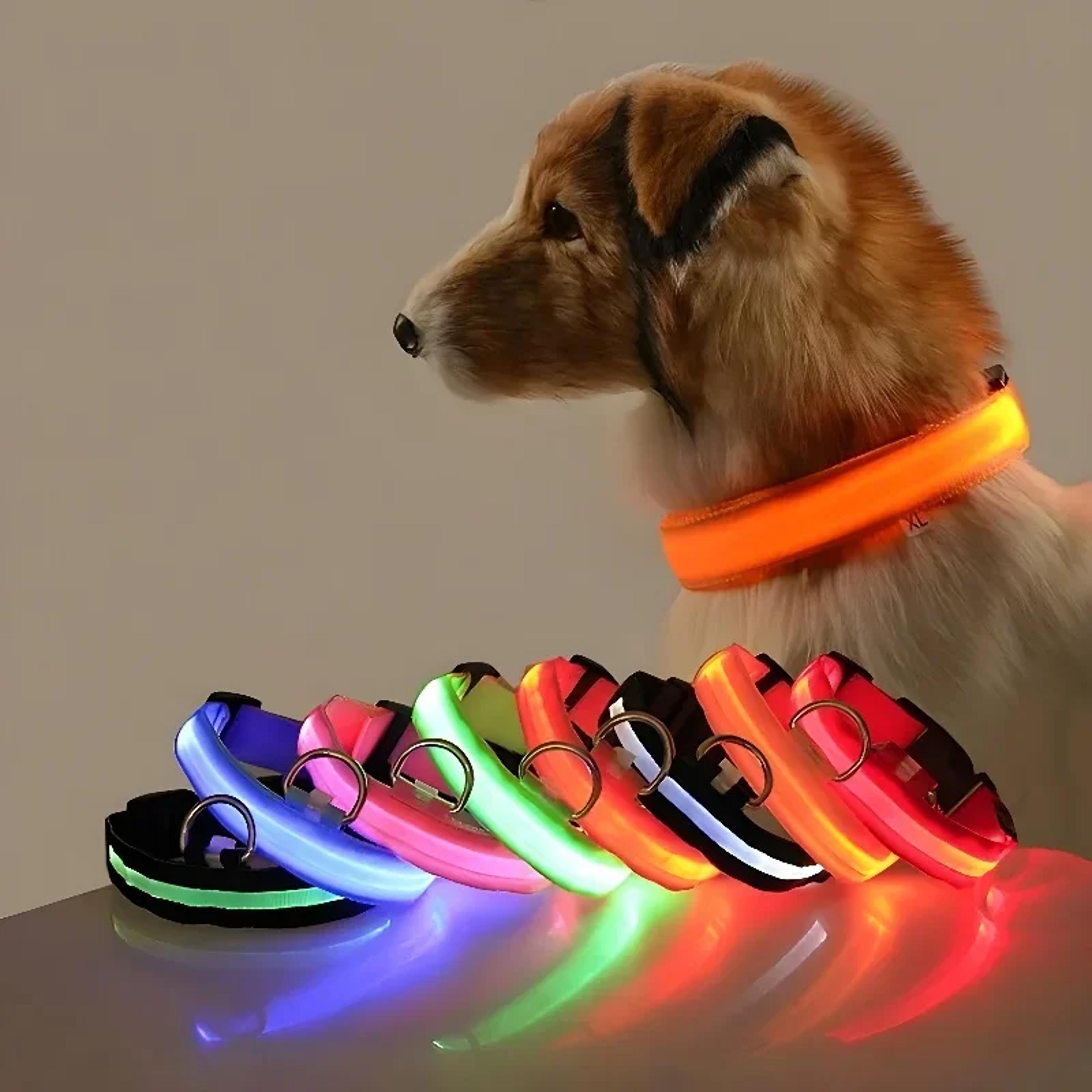 led dog collar for night safety rechargeable light up dog collar with flashing glow for small, medium & large dogs