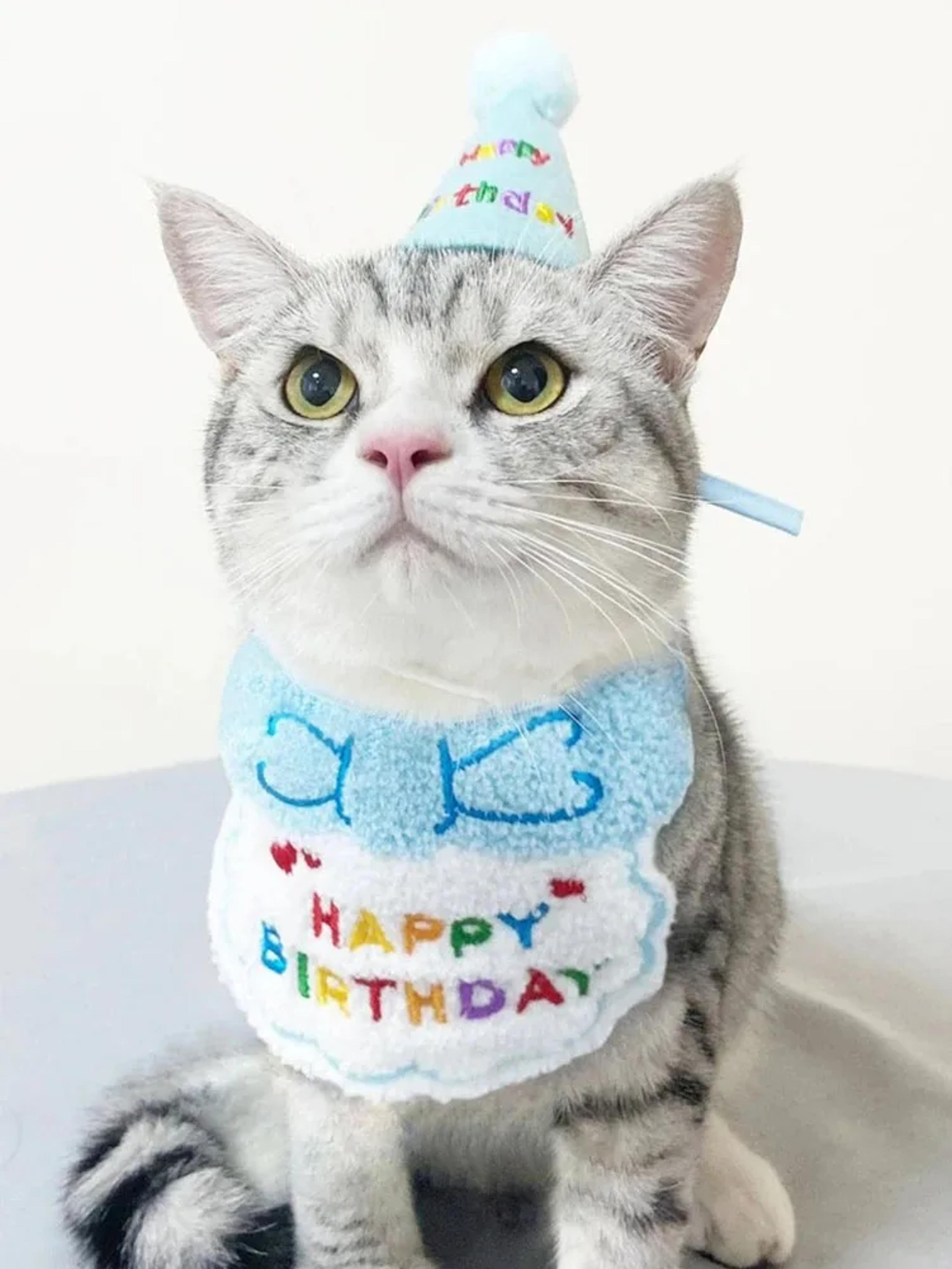 pet birthday outfit set with birthday bandana & party hat for dogs and cats
