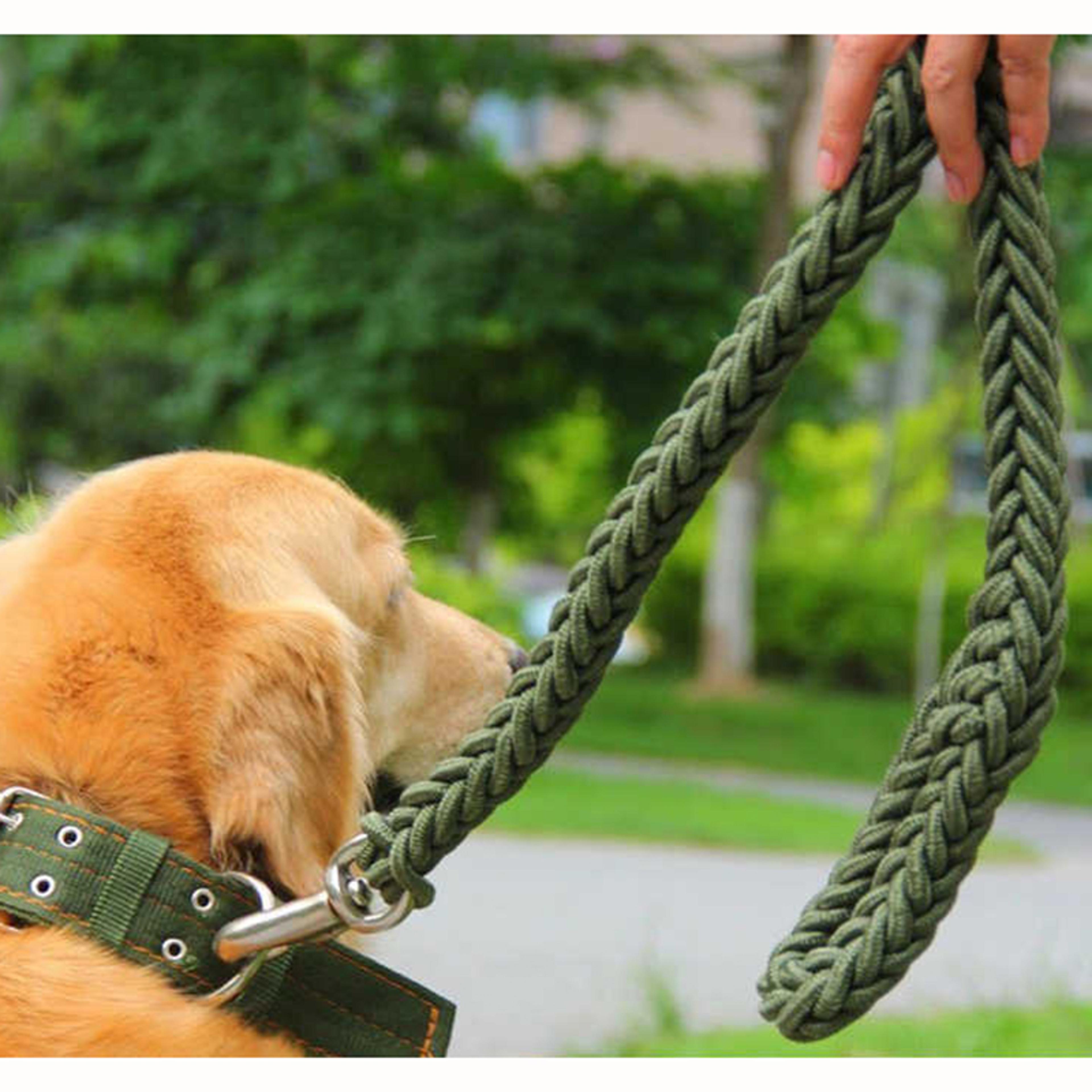 heavy duty nylon dog leash for medium & large dogs strong dog training leash for walking & running