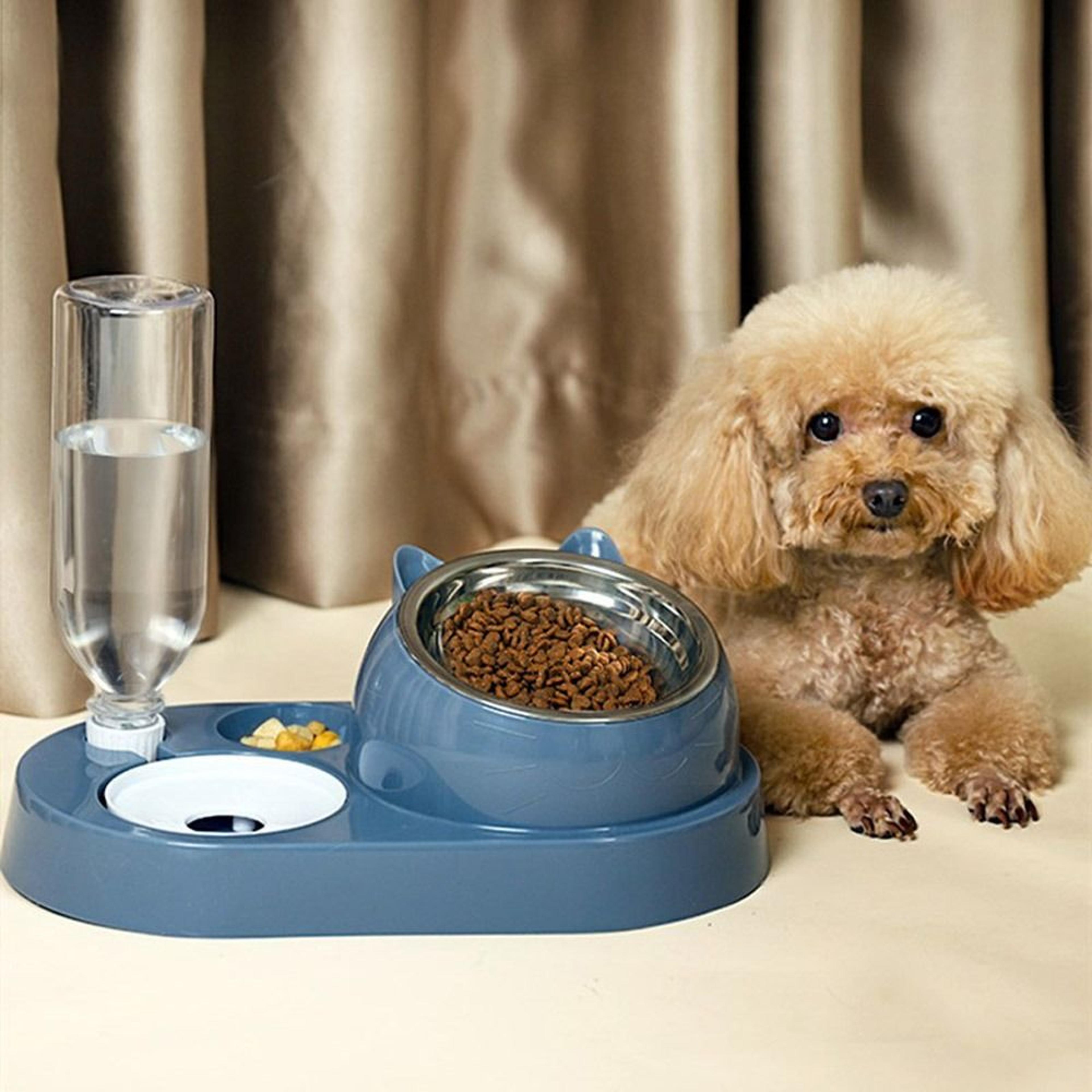 smart pet feeder with automatic pet water dispenser for cats & small dogs