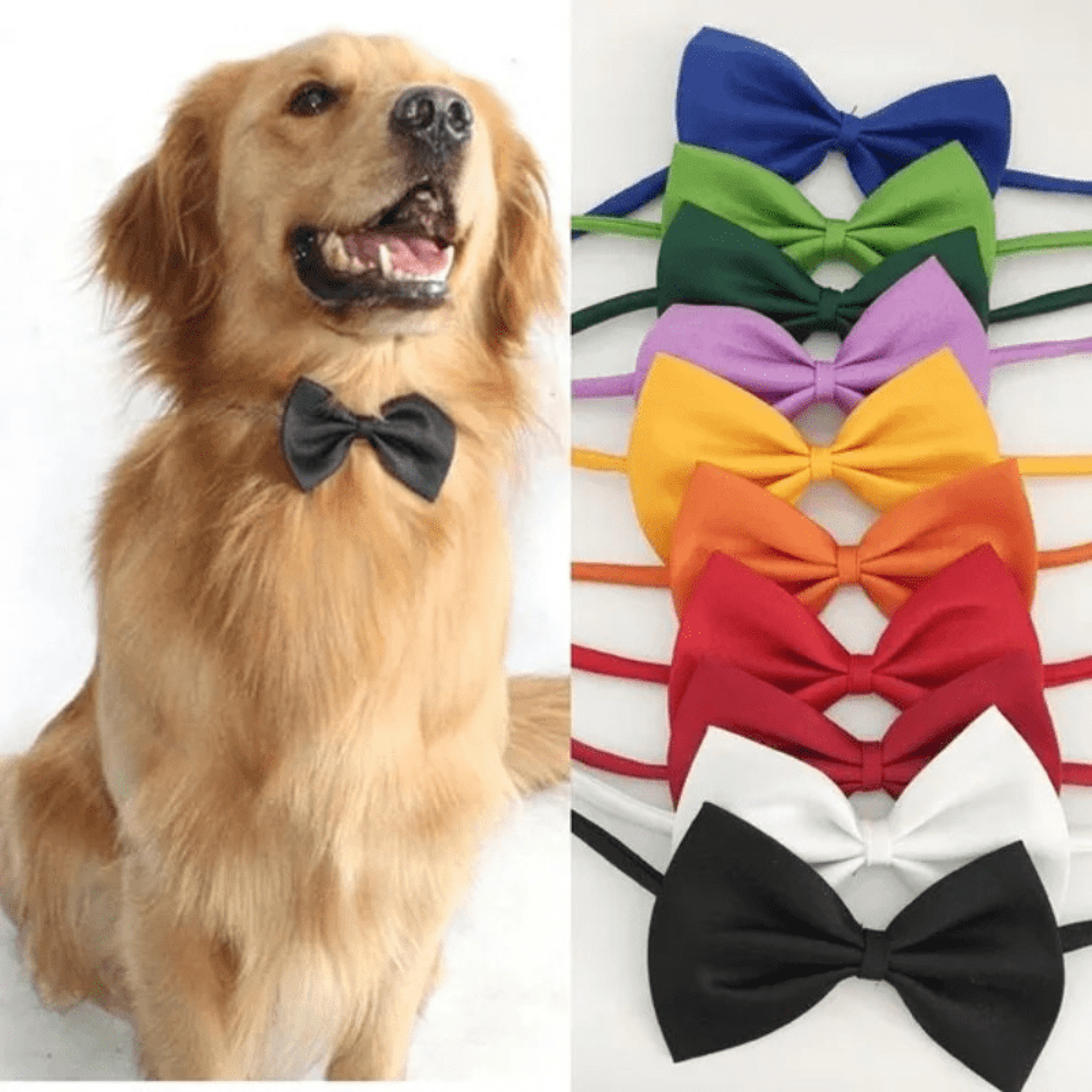 dapper paws adjustable pet bowtie collar for dogs & cats