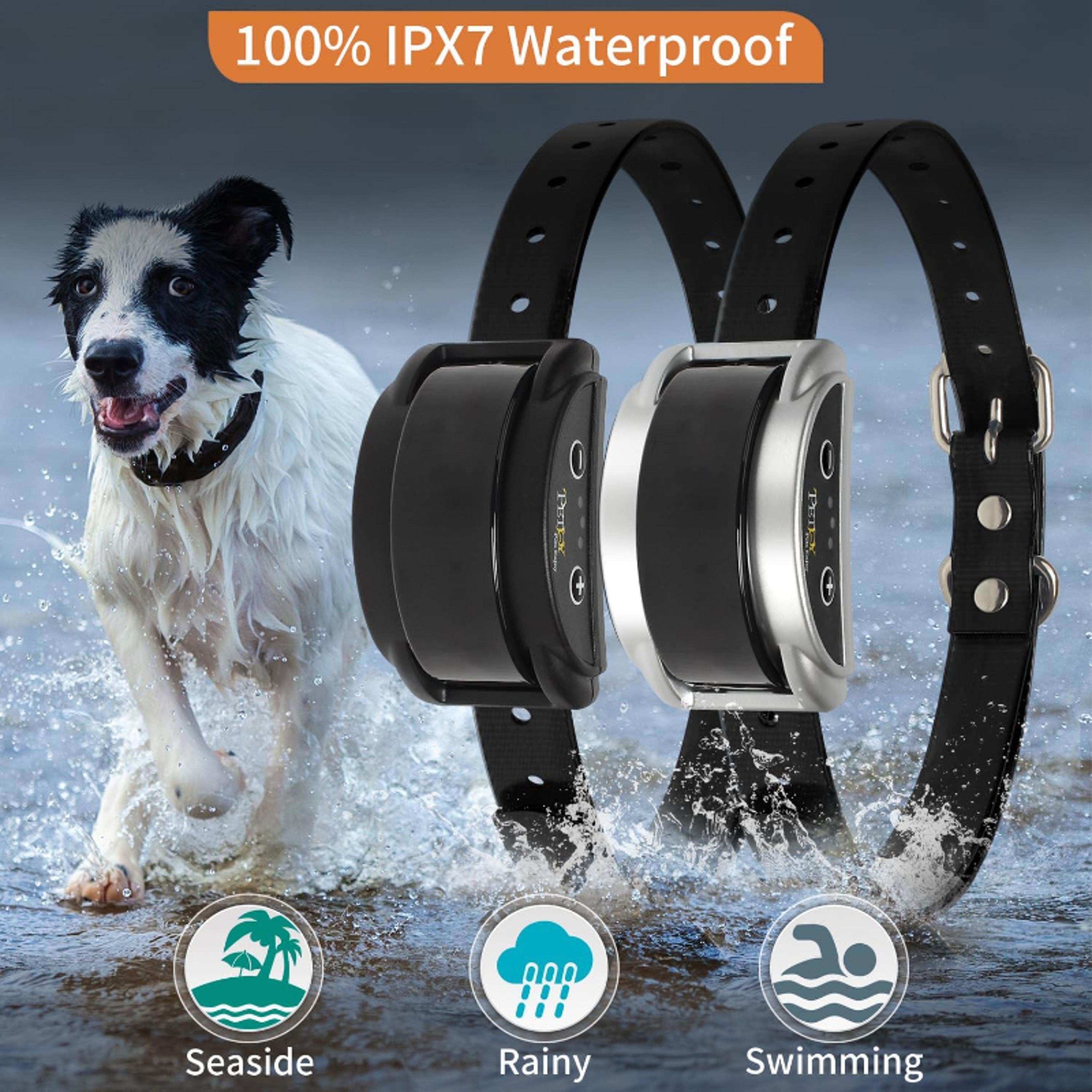 quiet harmony bark collar duo